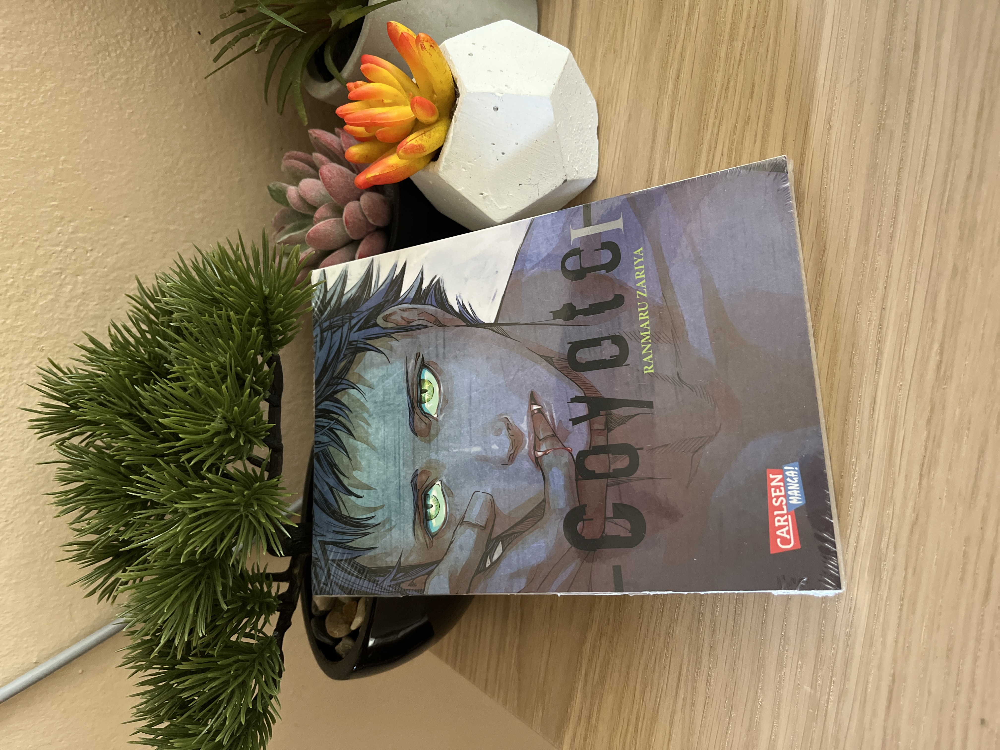 Coyote Vol. 1 (GERMAN)