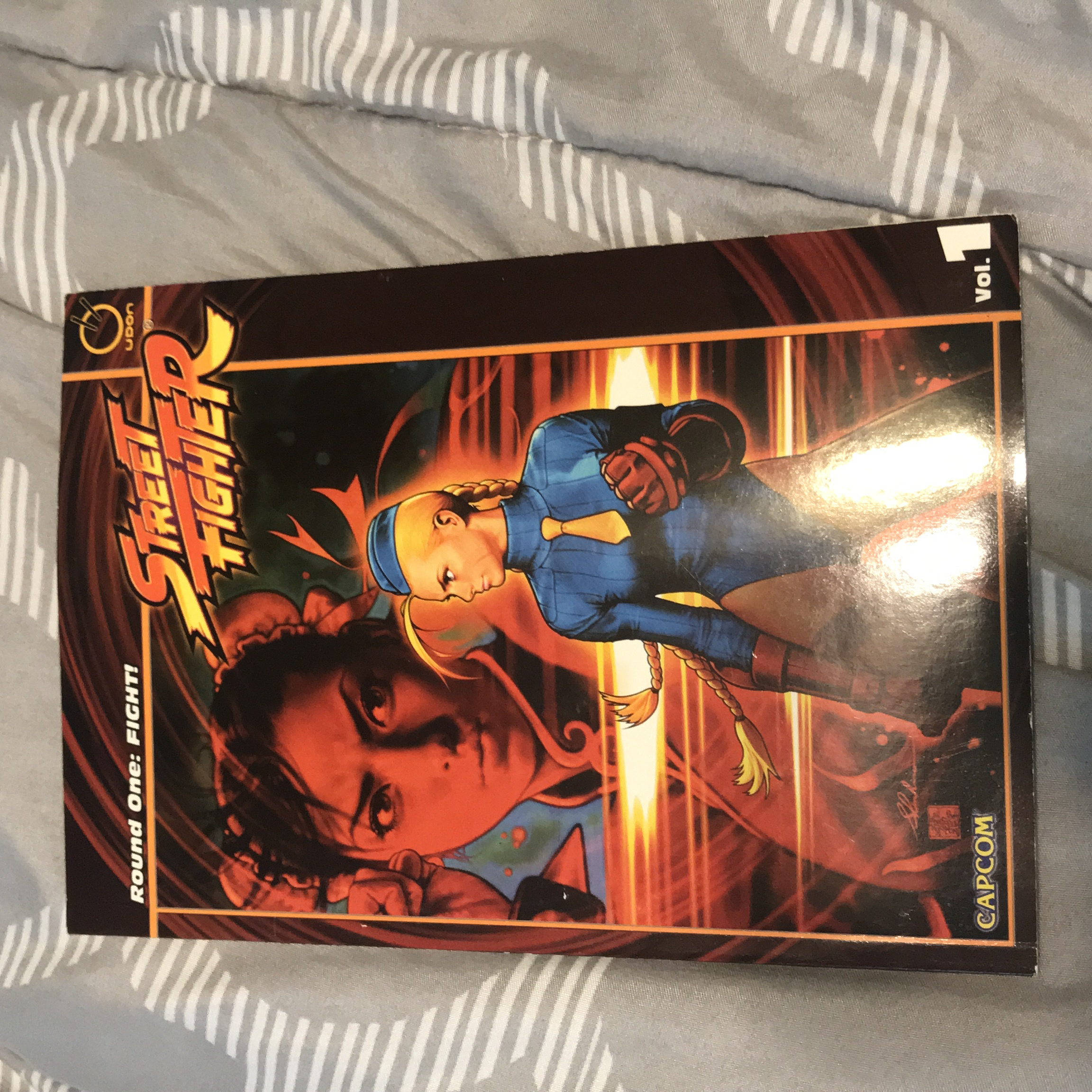Street Fighter Swimsuit Special Collection by UDON