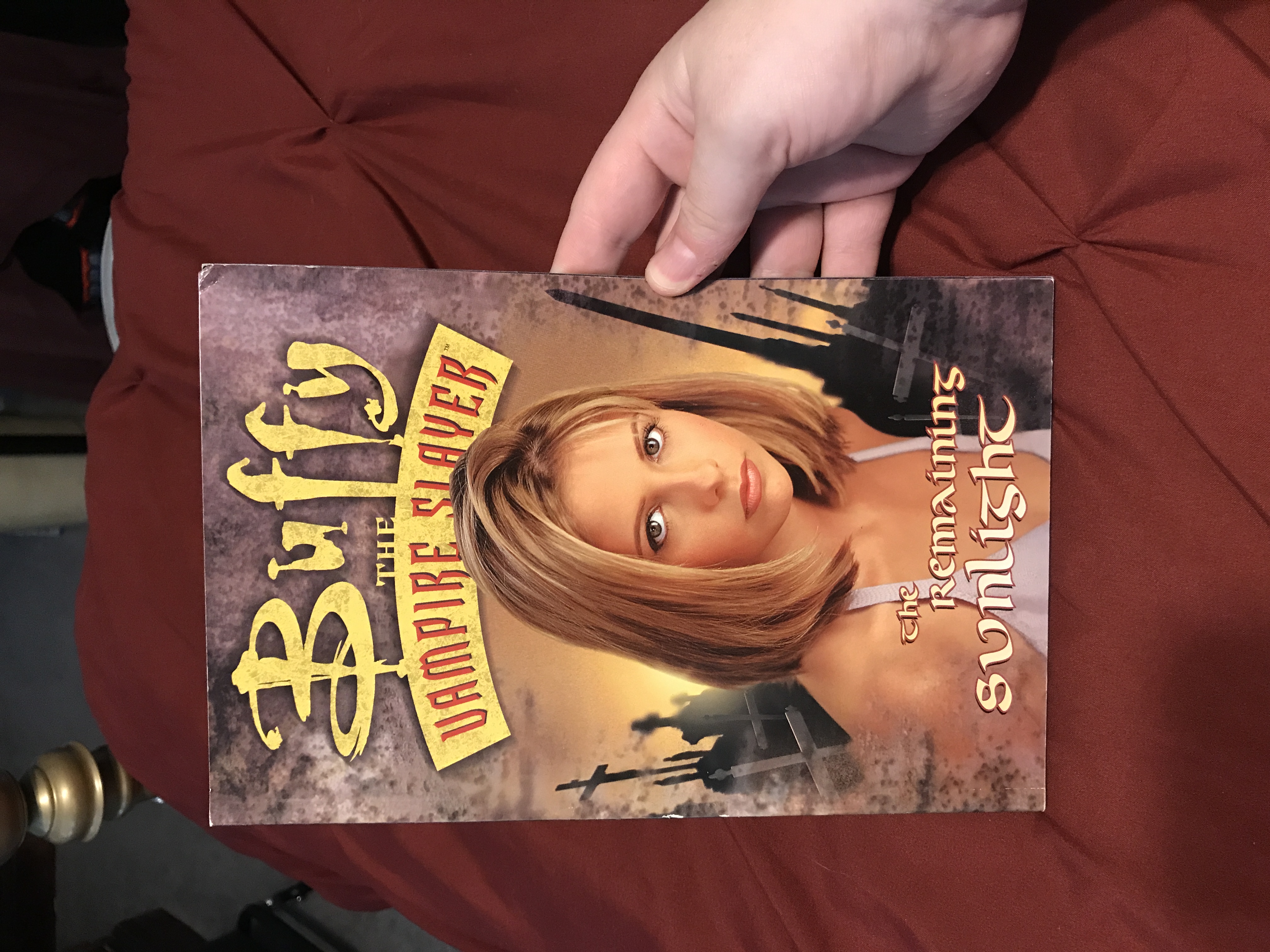 The Remaining Sunlight