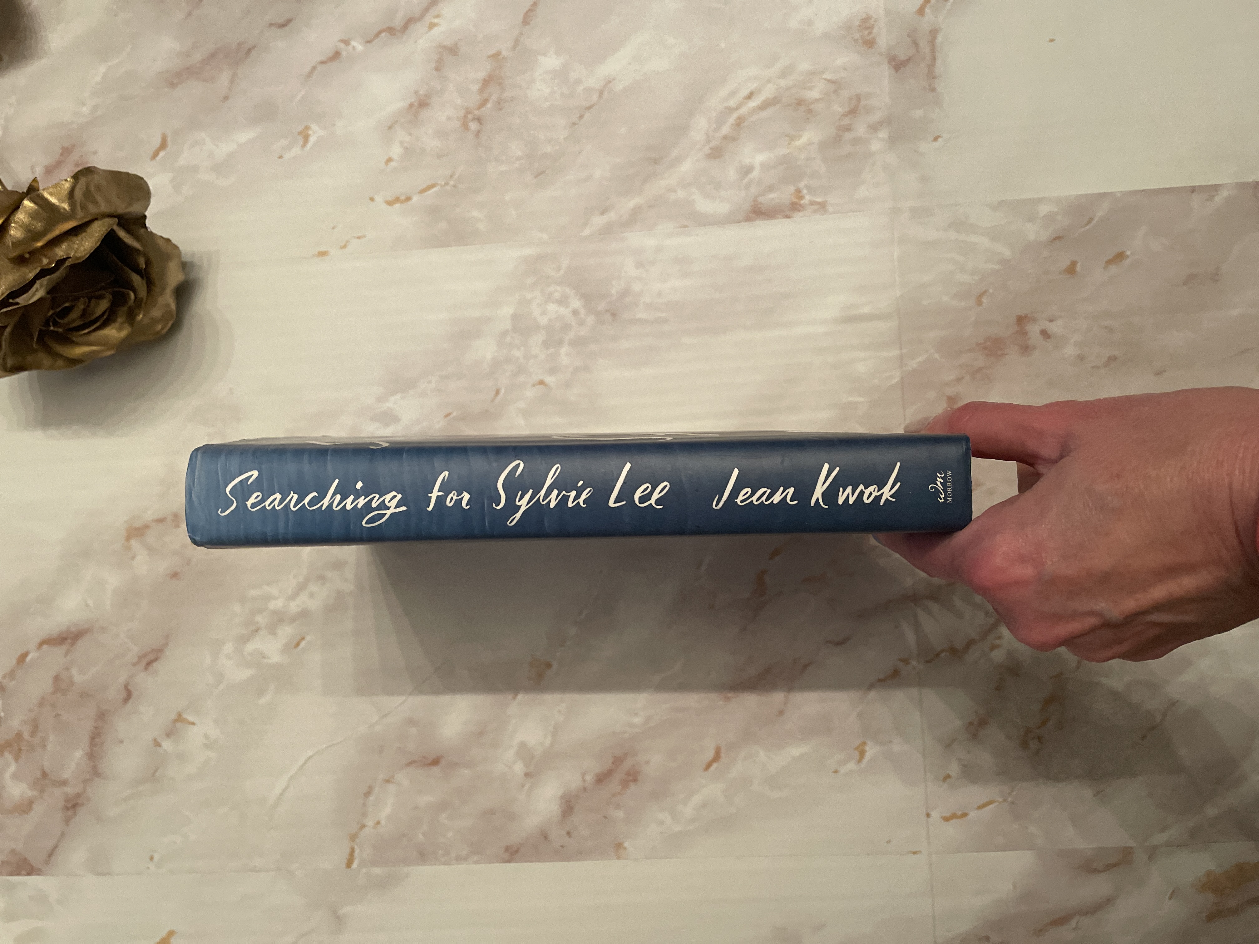 Searching for Sylvie Lee