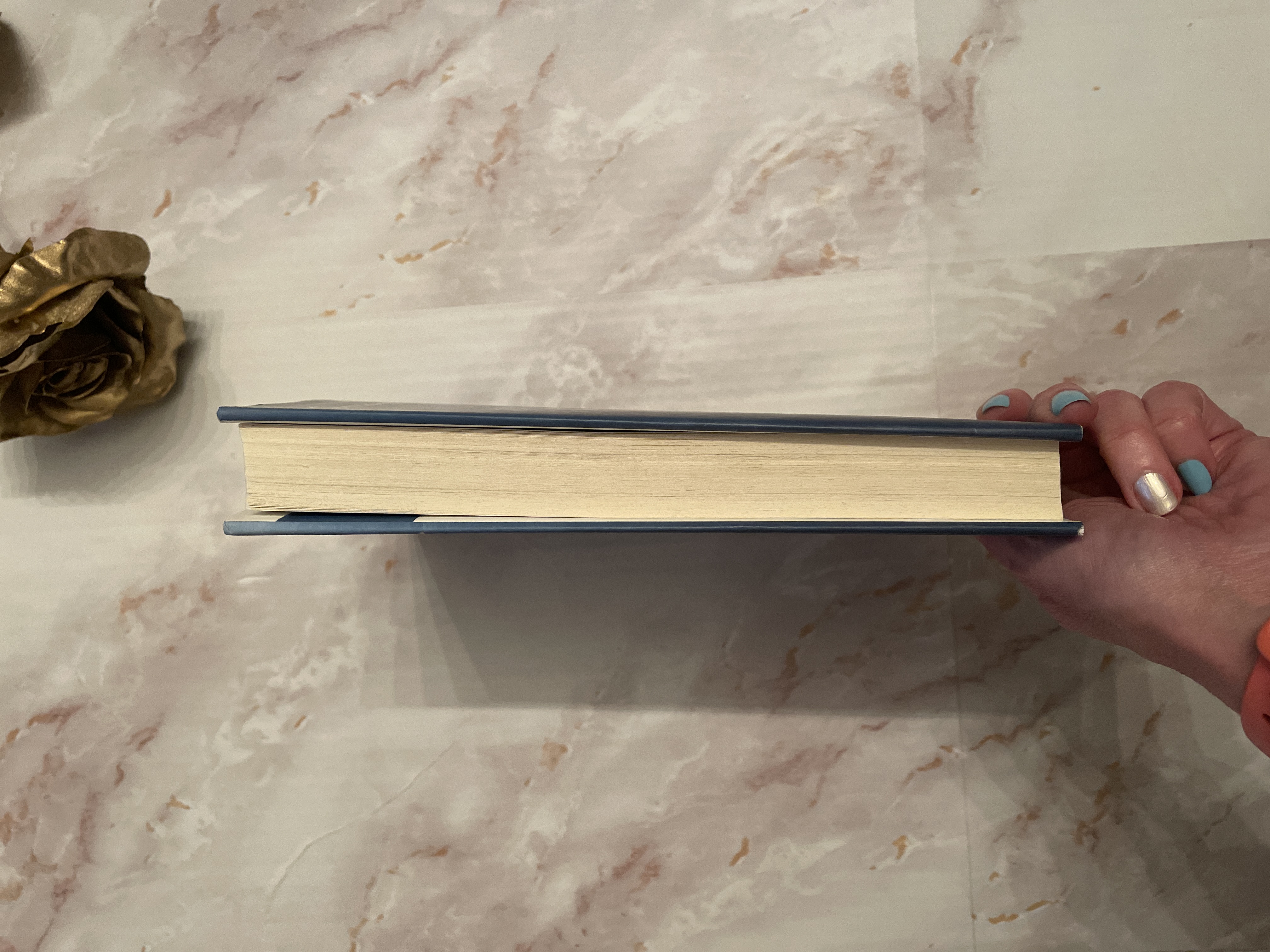 Searching for Sylvie Lee