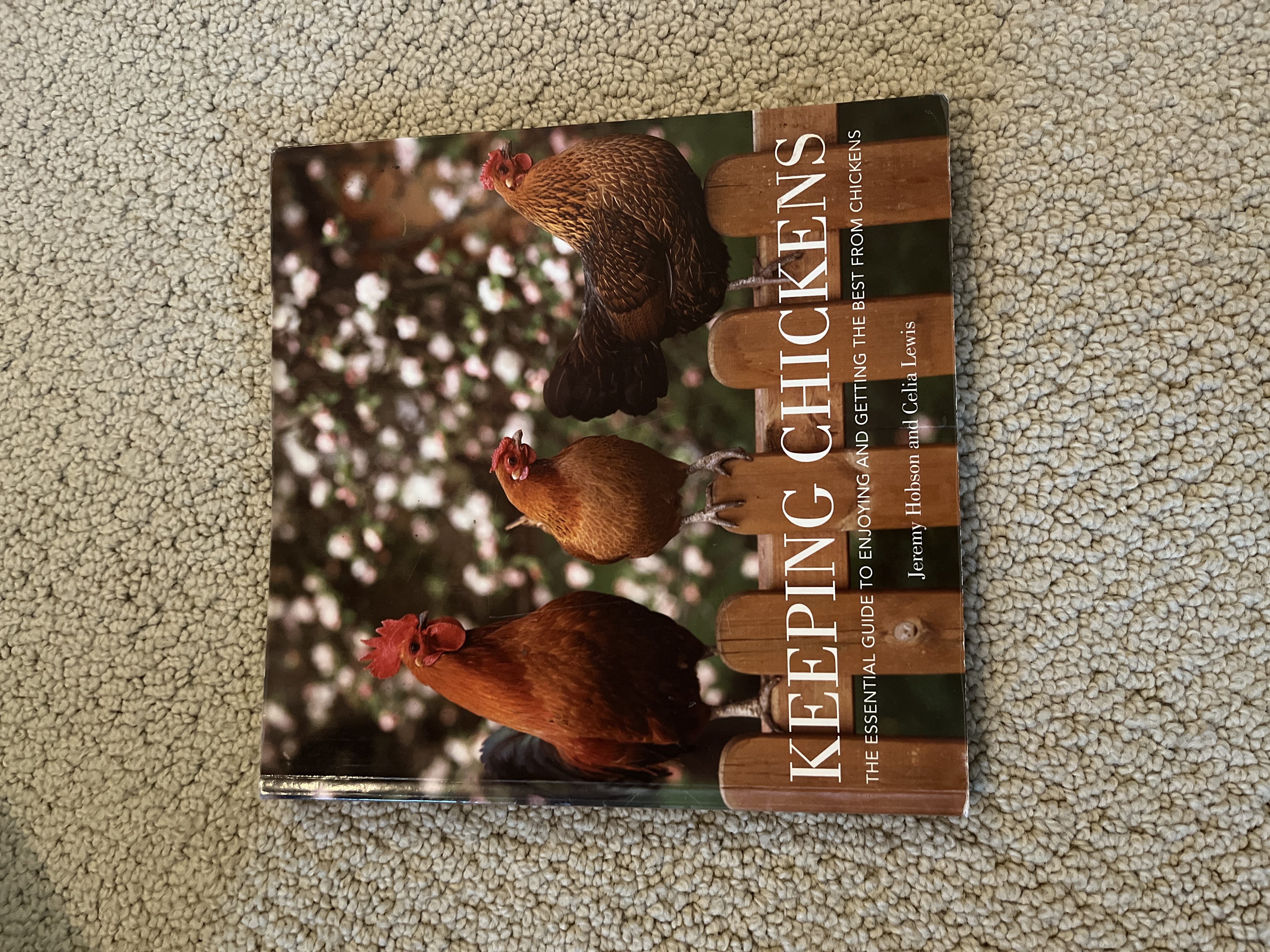 Keeping Chickens