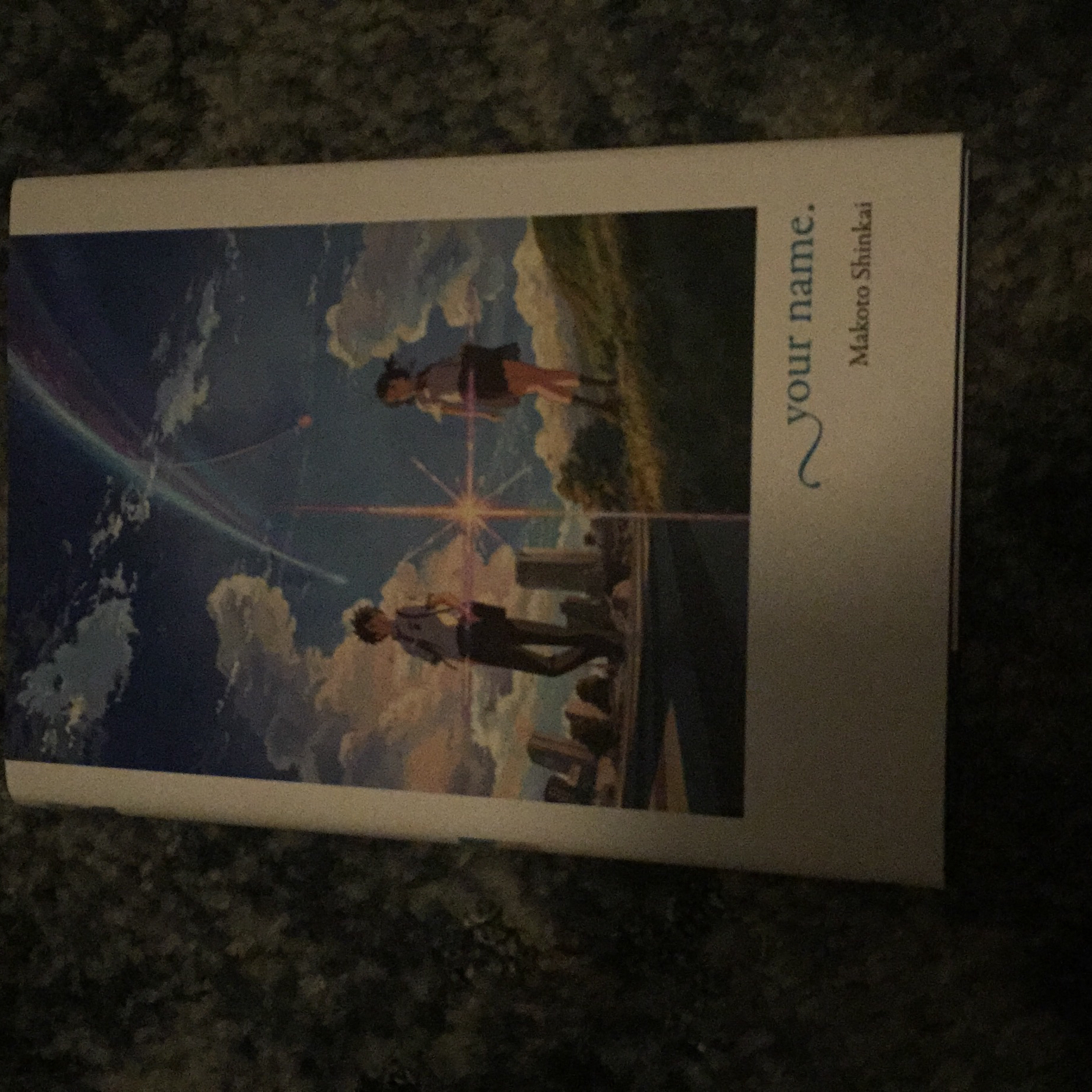 Your Name. (light Novel)