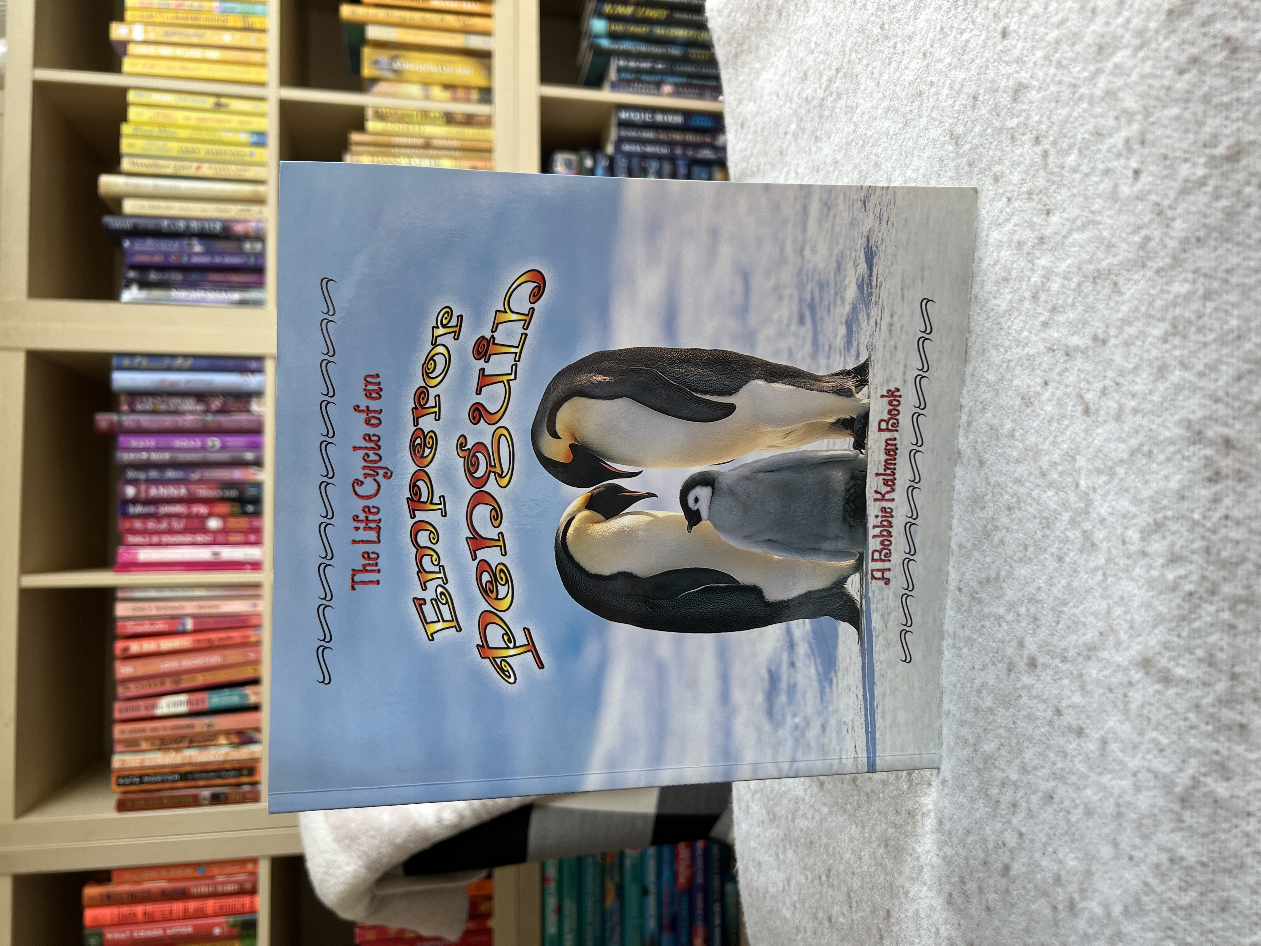The Life Cycle of an Emperor Penguin