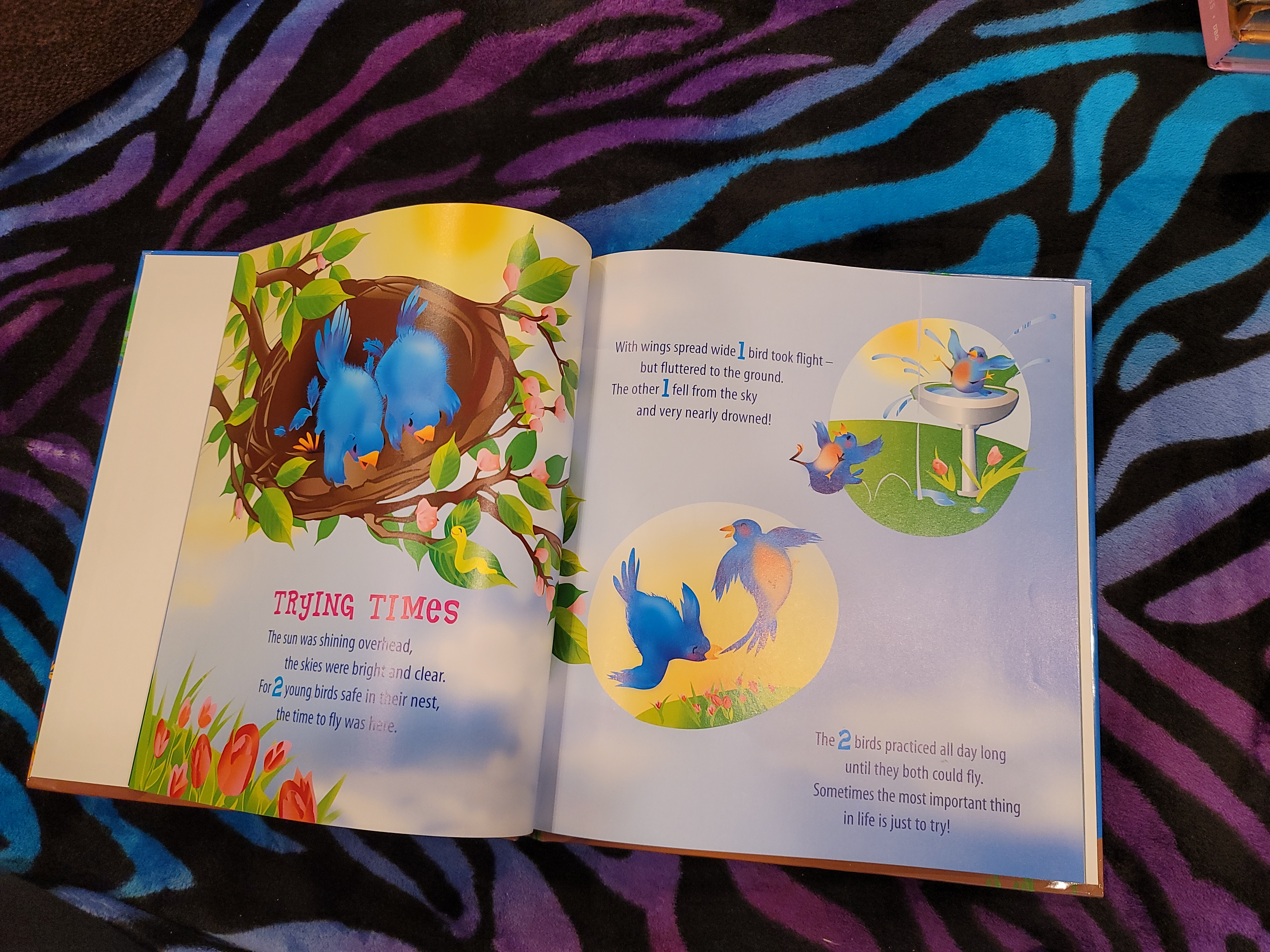 Math Fables by Greg Tang