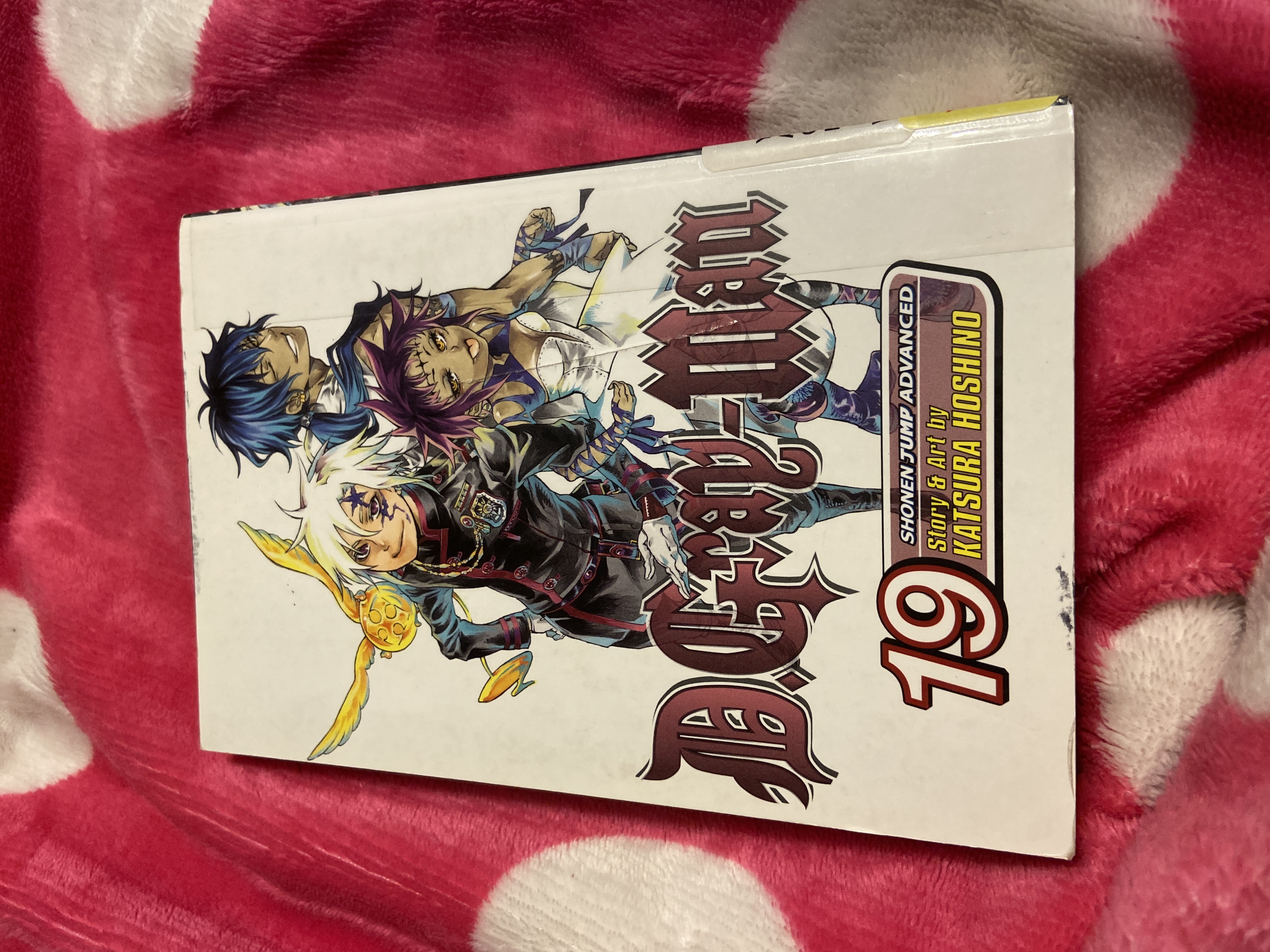 D. Gray-Man, Vol. 19