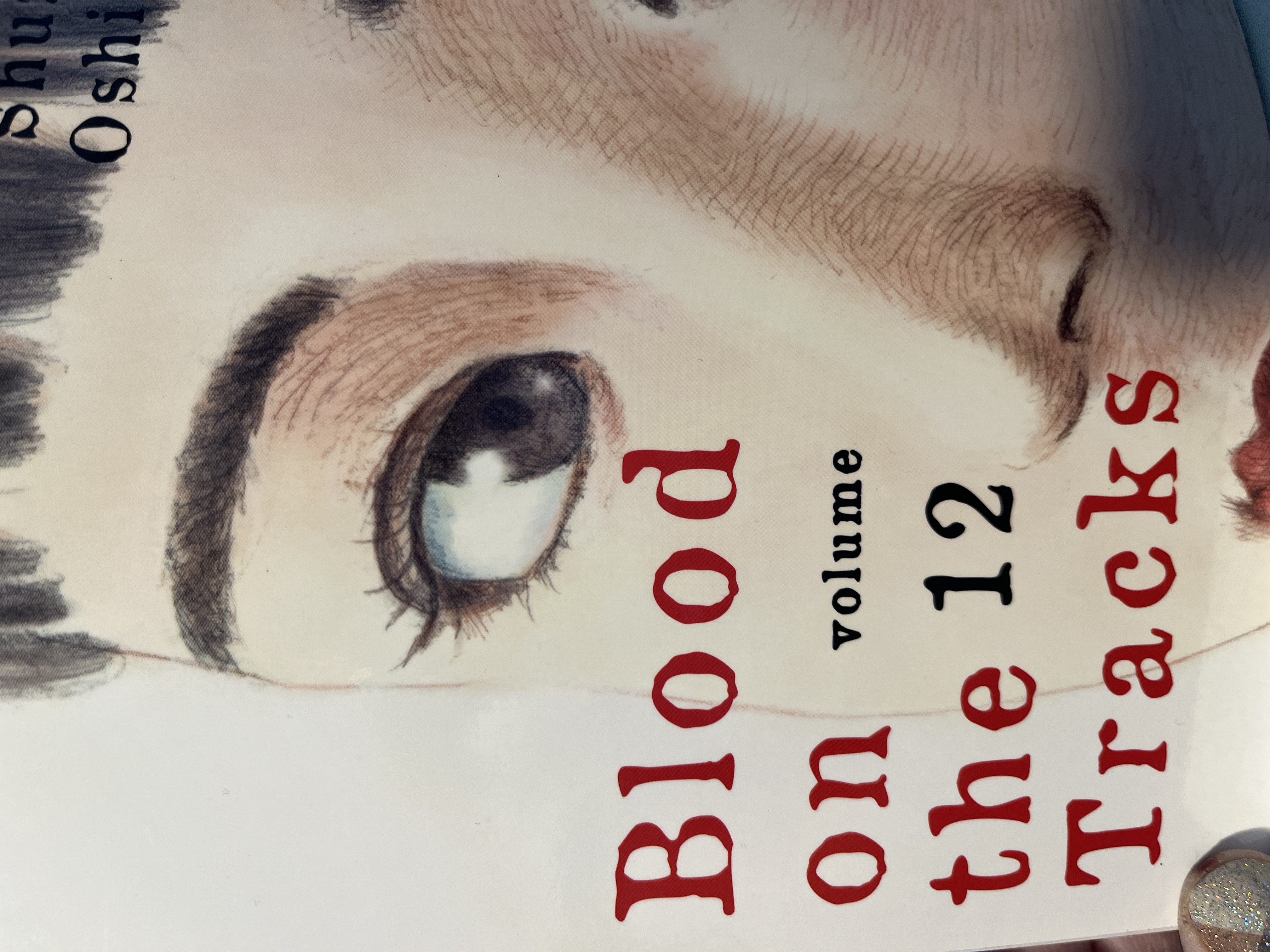 Blood on the Tracks 12