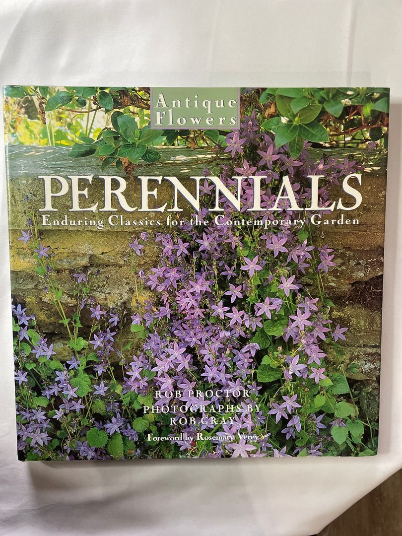 Perennials