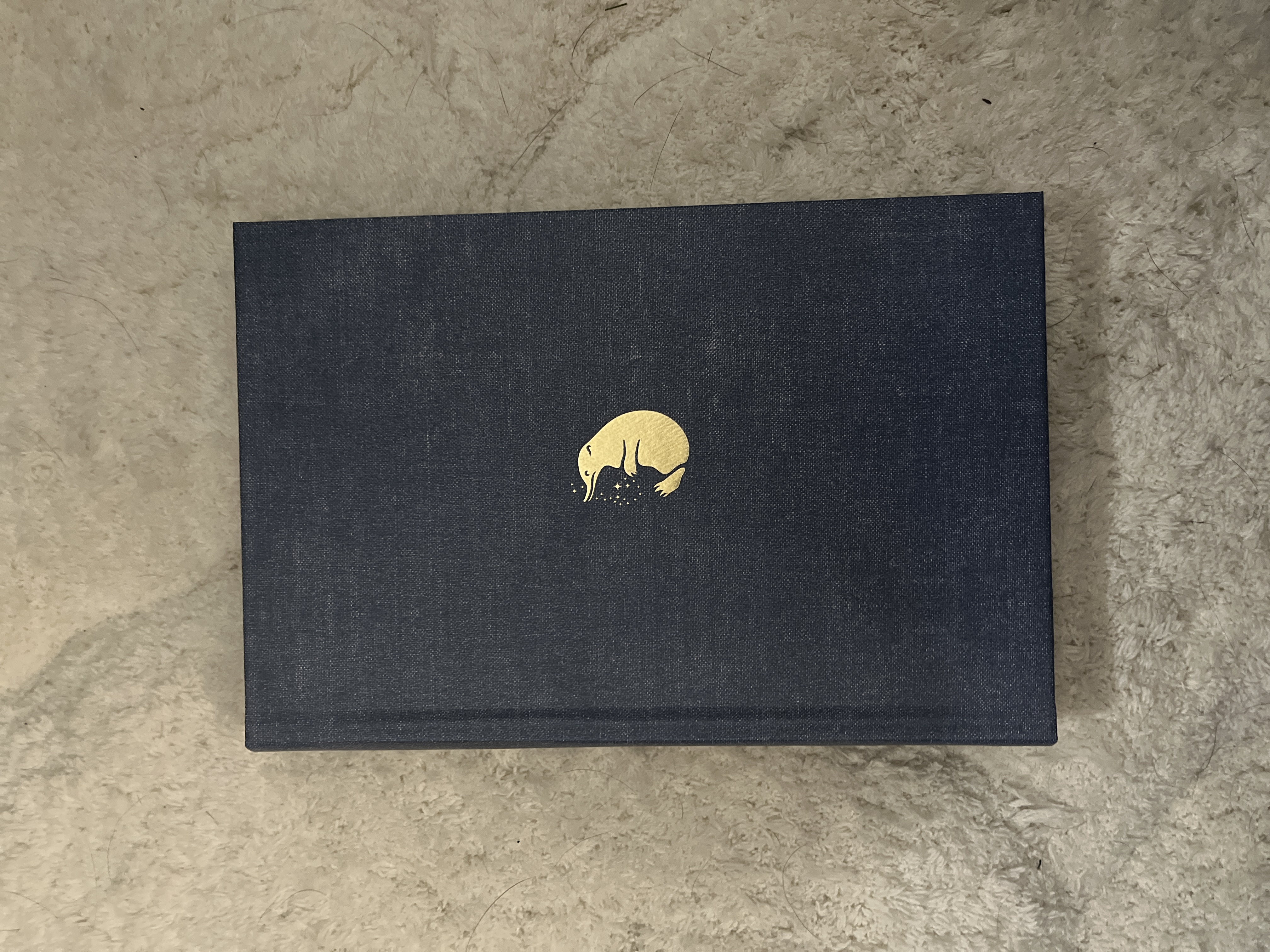 Fantastic Beasts and Where to Find Them