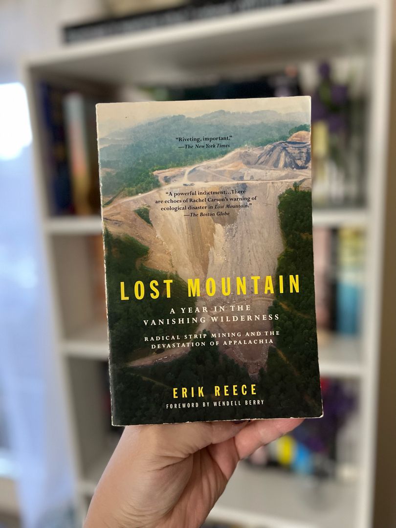 Lost Mountain by Erik Reece