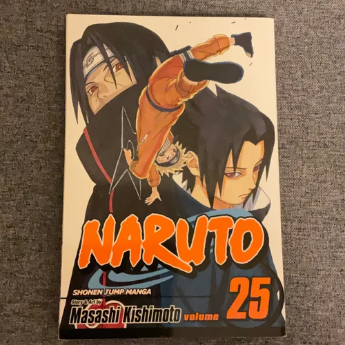 Naruto, Vol. 25