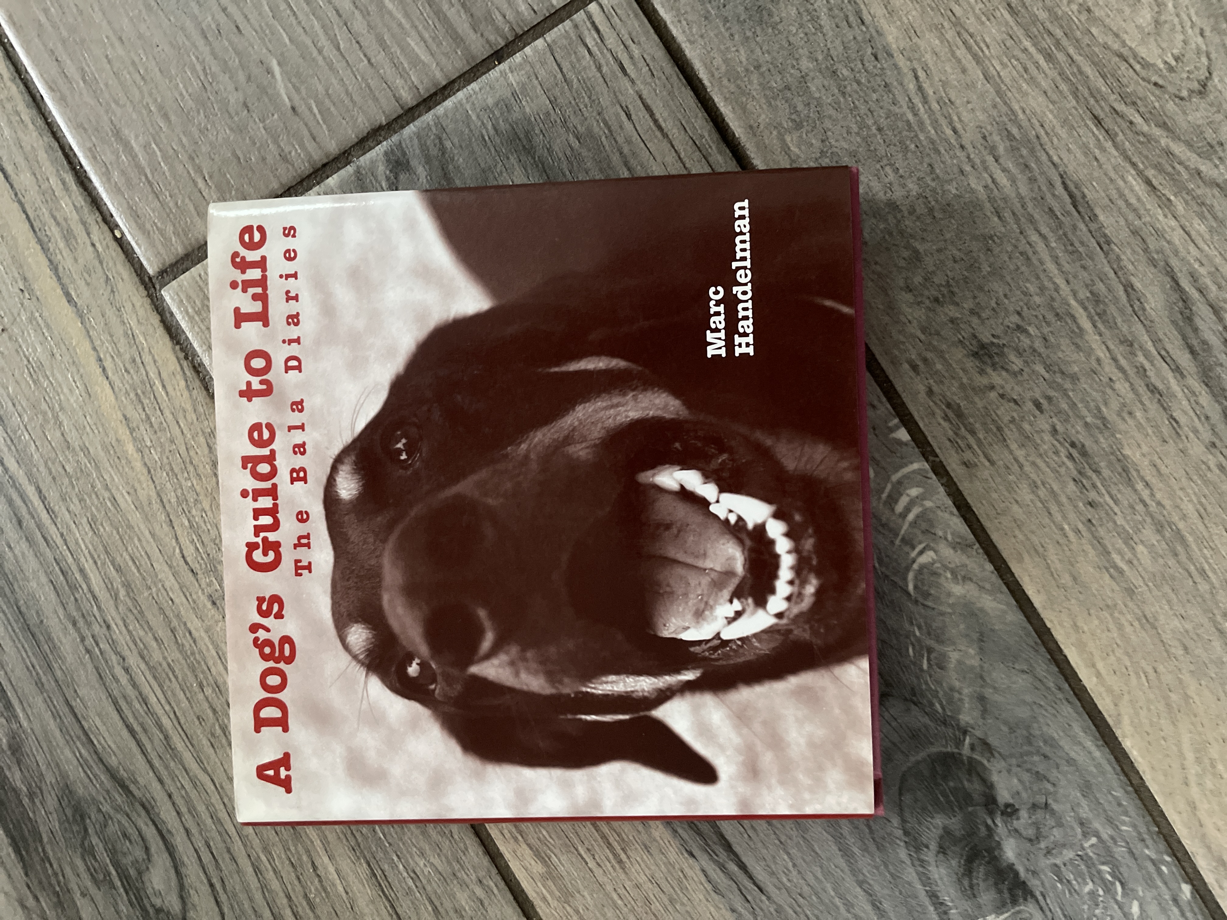 A Dog's Guide to Life