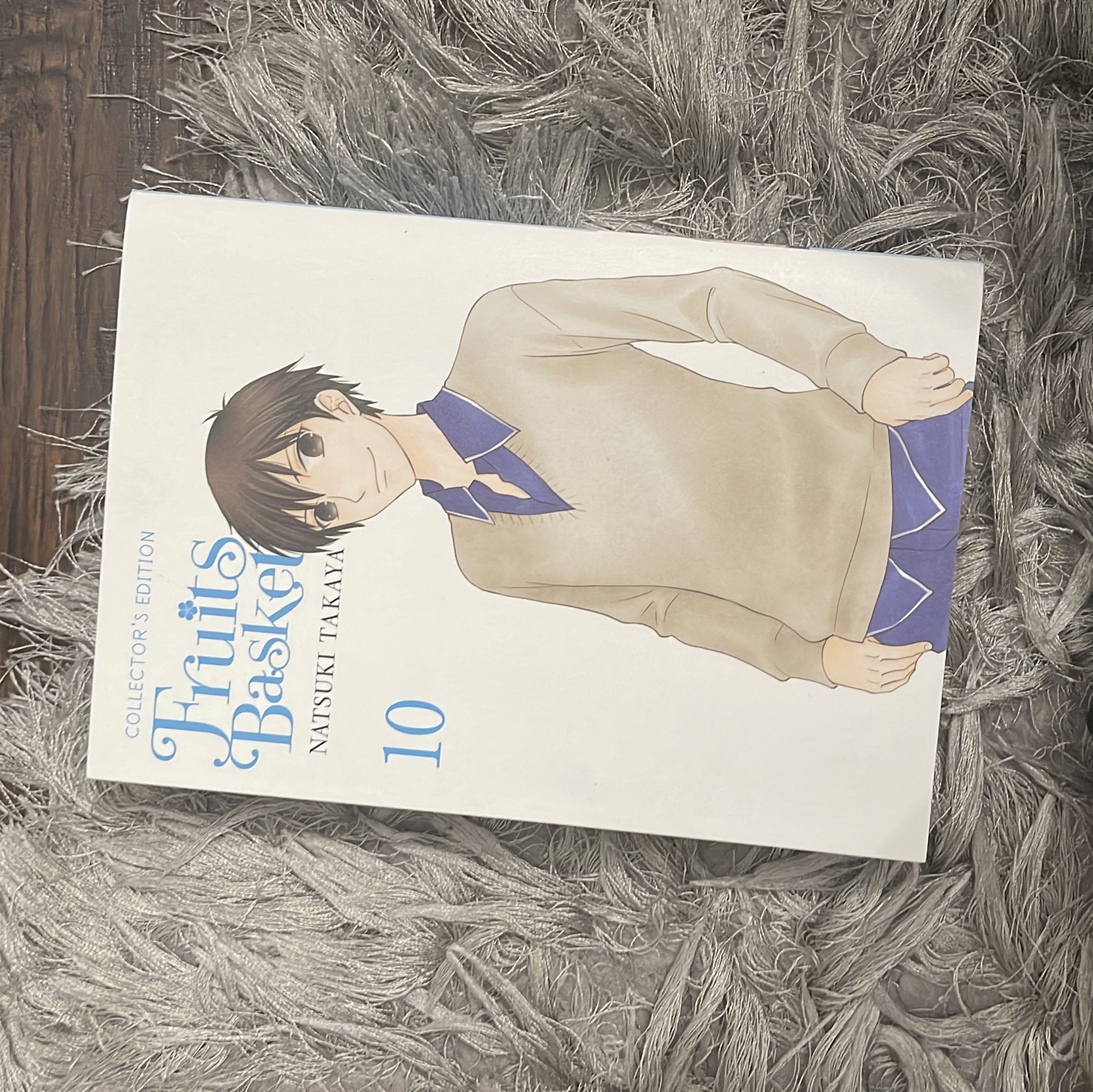Fruits Basket Collector's Edition, Vol. 10