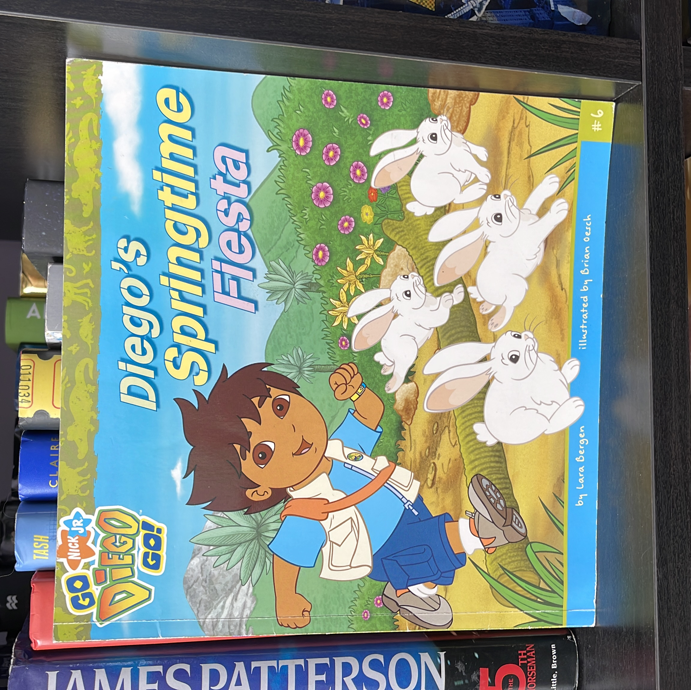 Diego's Springtime Fiesta