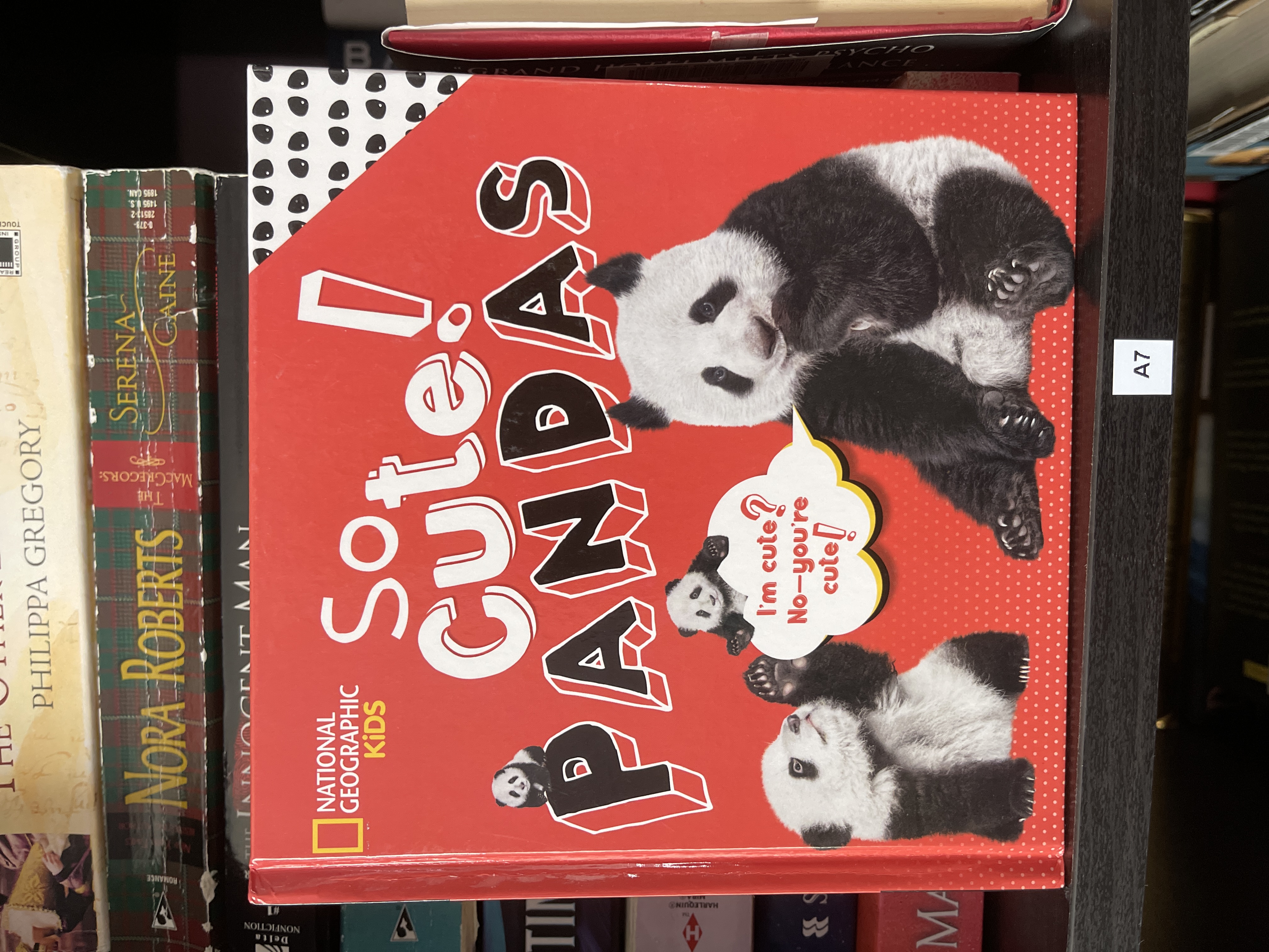 So Cute! Pandas