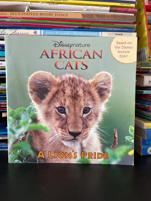 African Cats a Lion's Pride