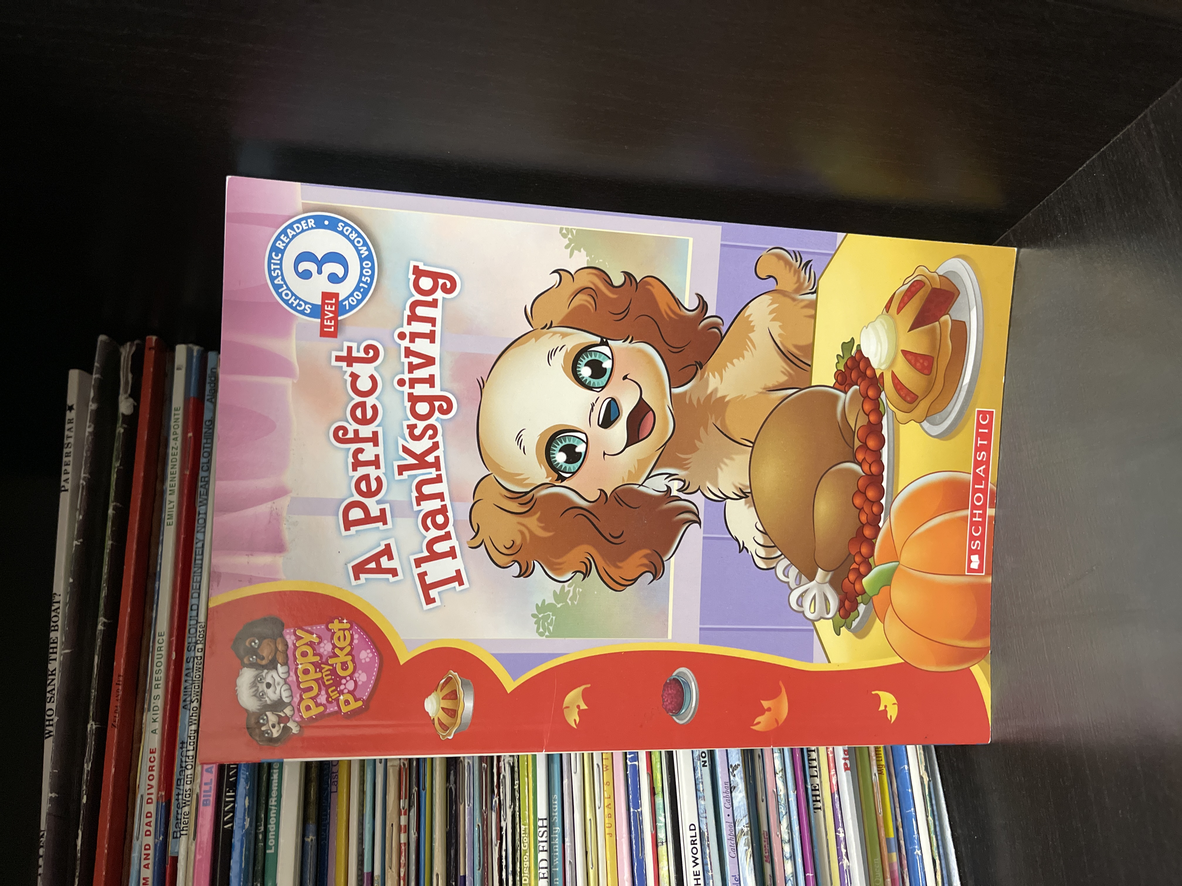 A Perfect Thanksgiving reader by Sierra Harimann, Paperback | Pangobooks