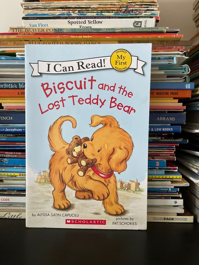 Biscuit and the Lost Teddy Bear