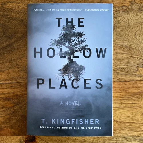 The Hollow Places
