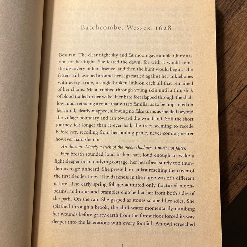 The Witch's Daughter