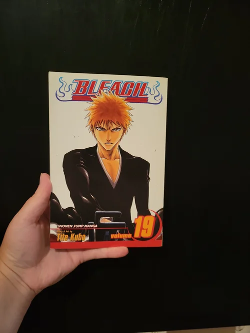 Bleach, Vol. 19