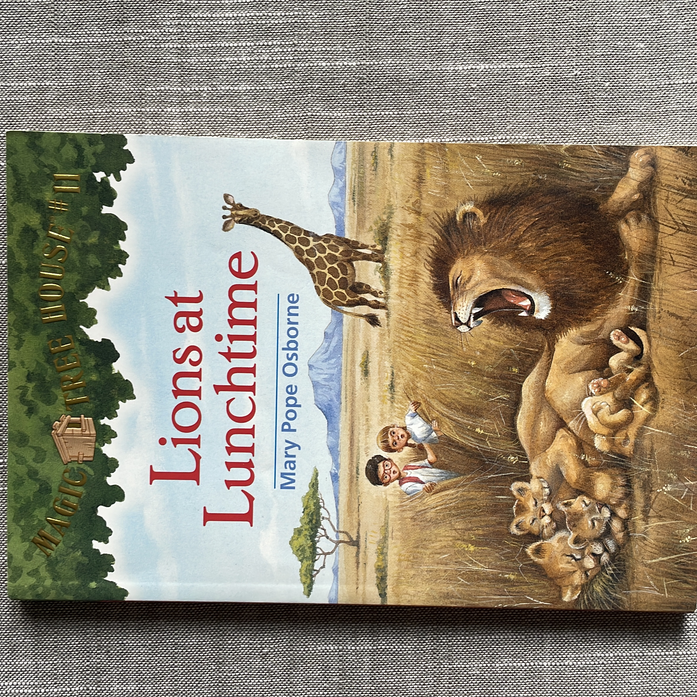 Lions at Lunchtime