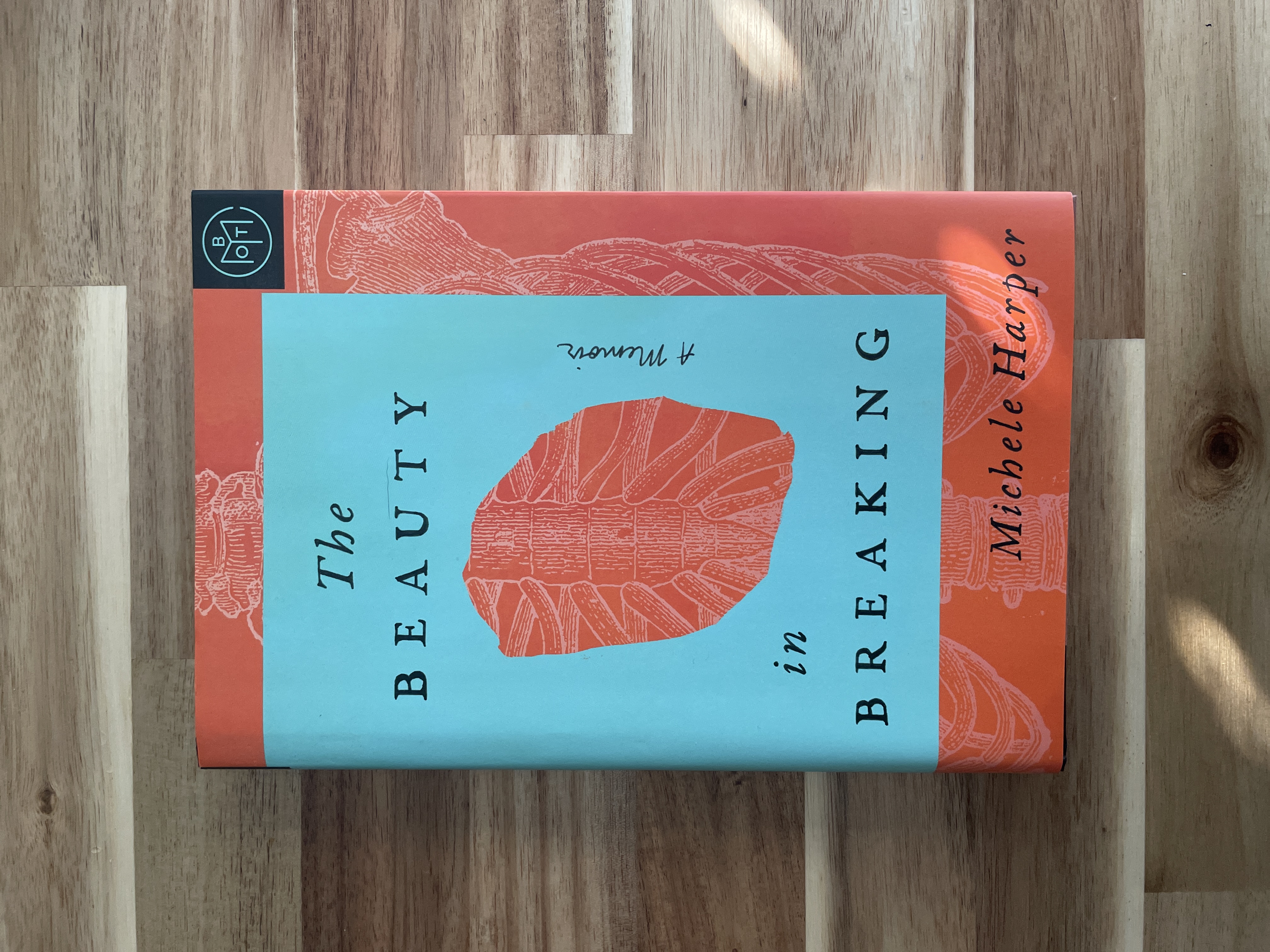 The Beauty in Breaking