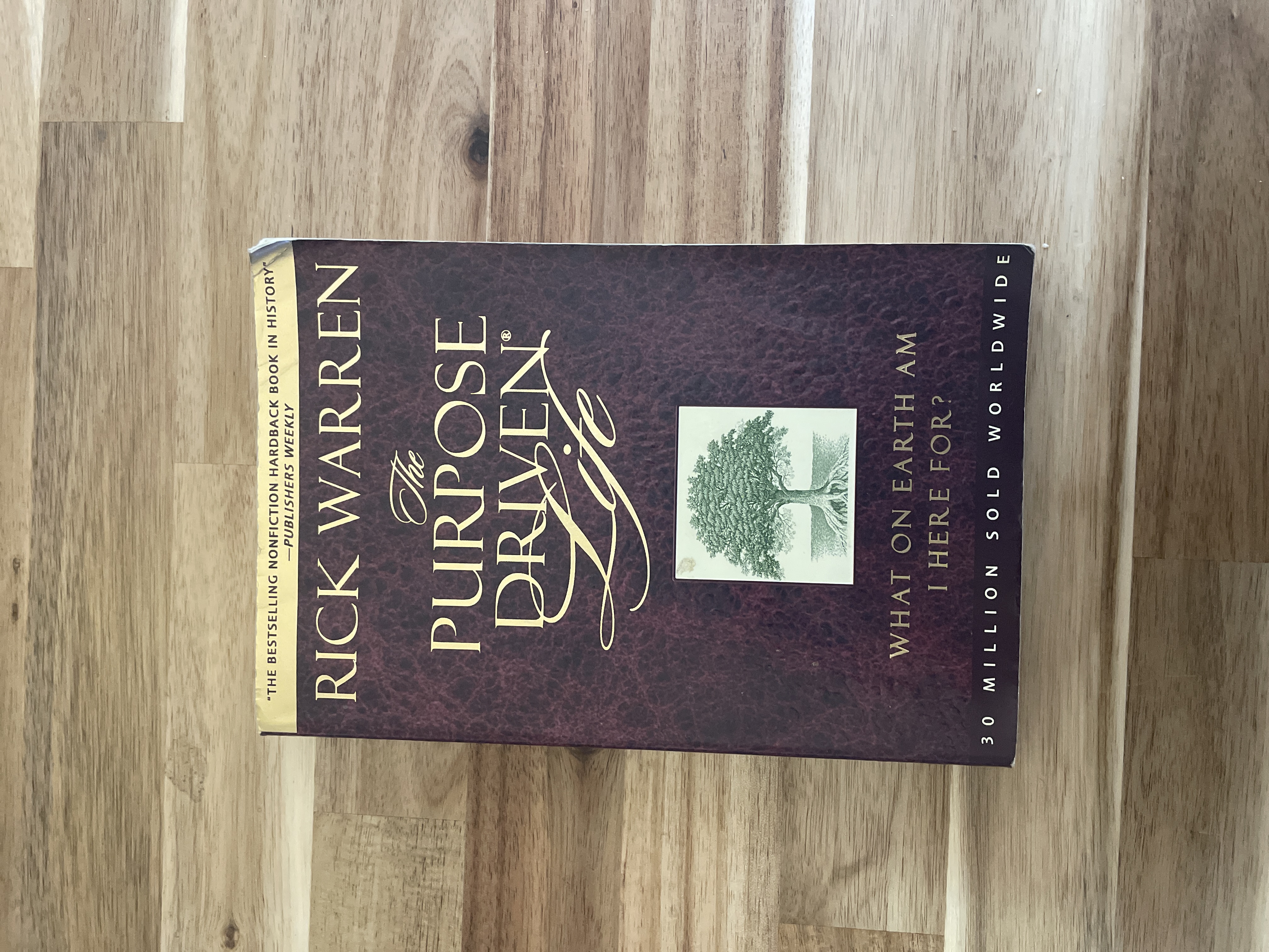 What on Earth Am I Here For?