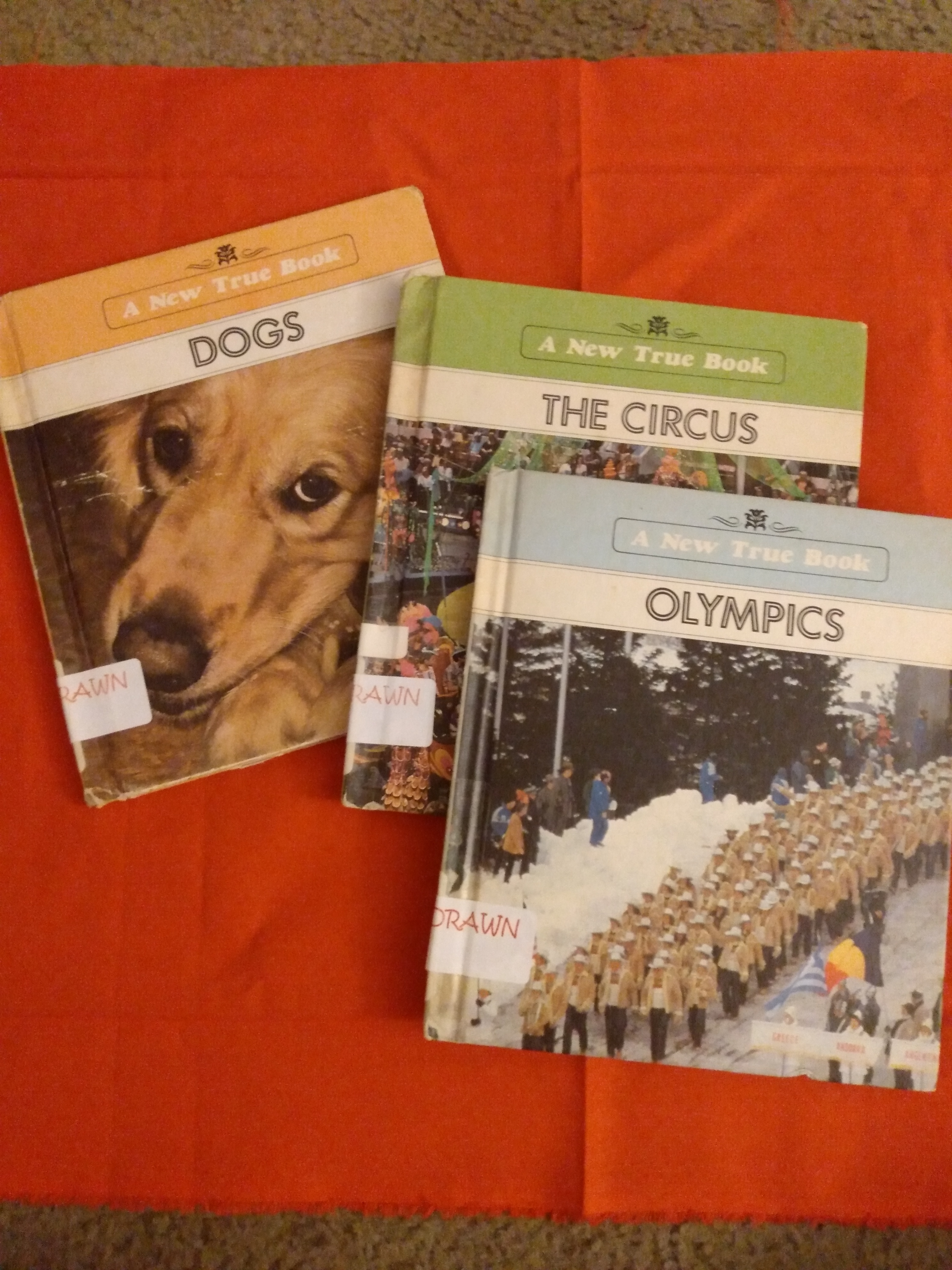 Dogs