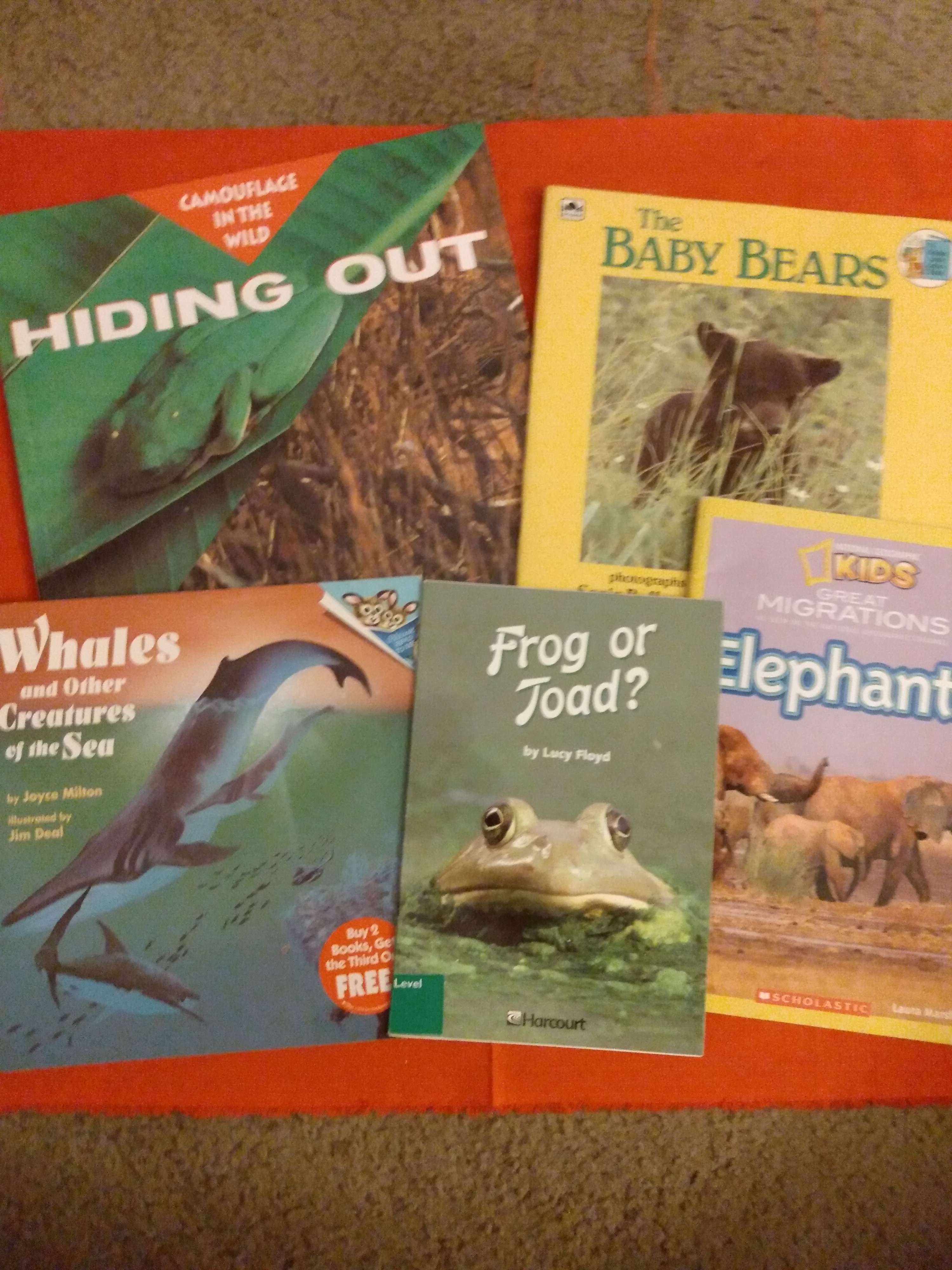 Whales and Other Creatures of the Sea