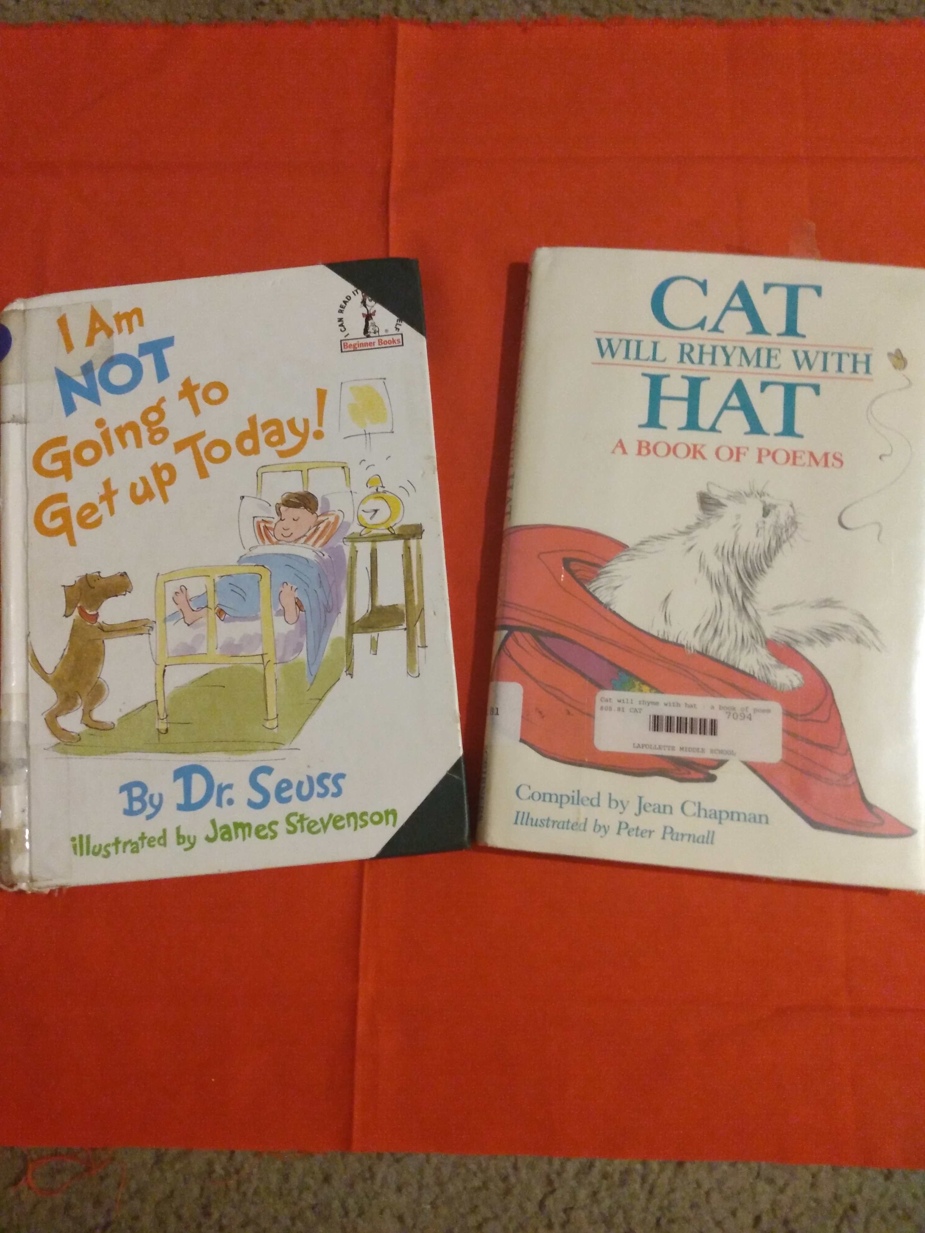 Cat Will Rhyme with Hat