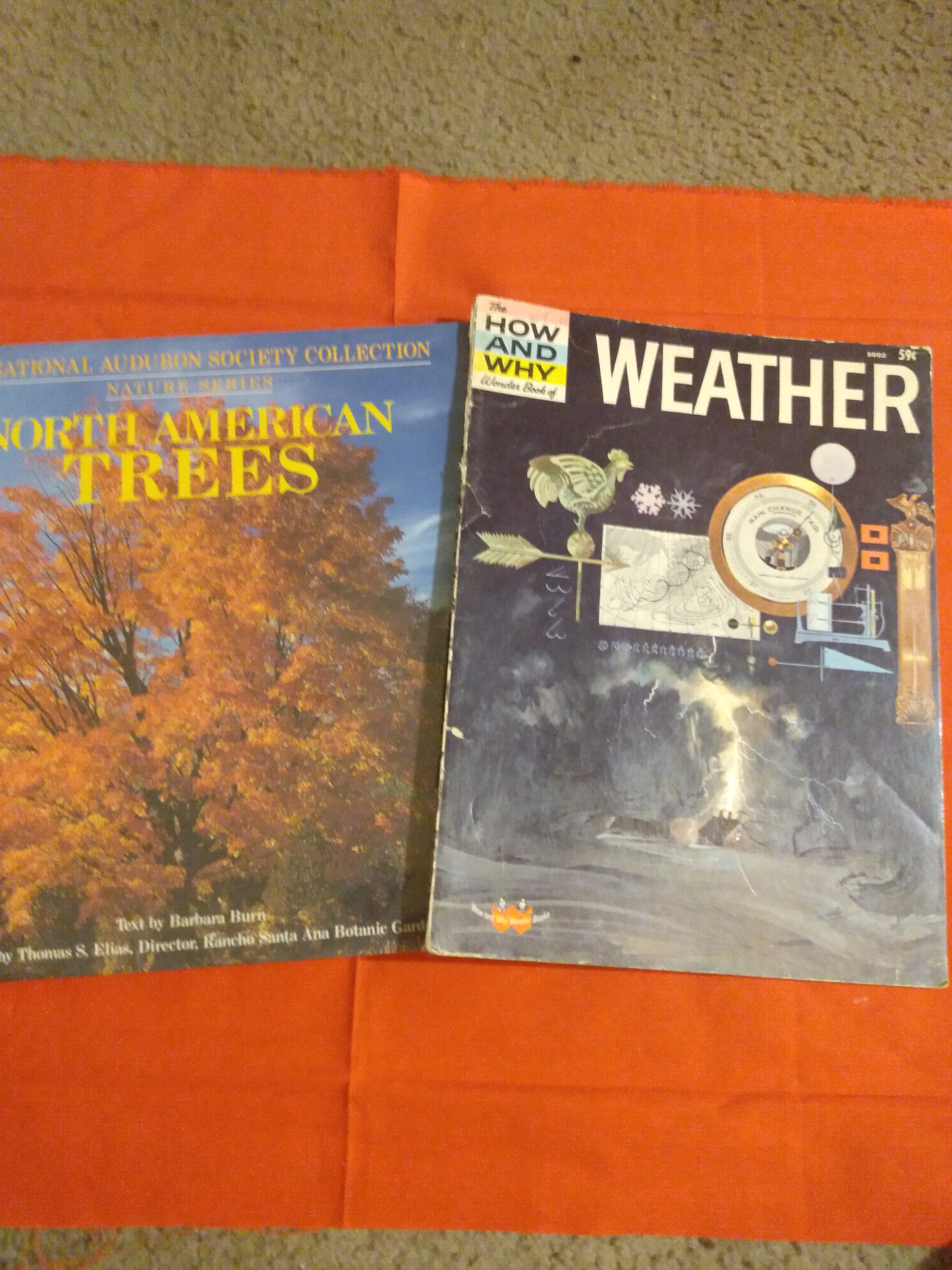 North American Trees