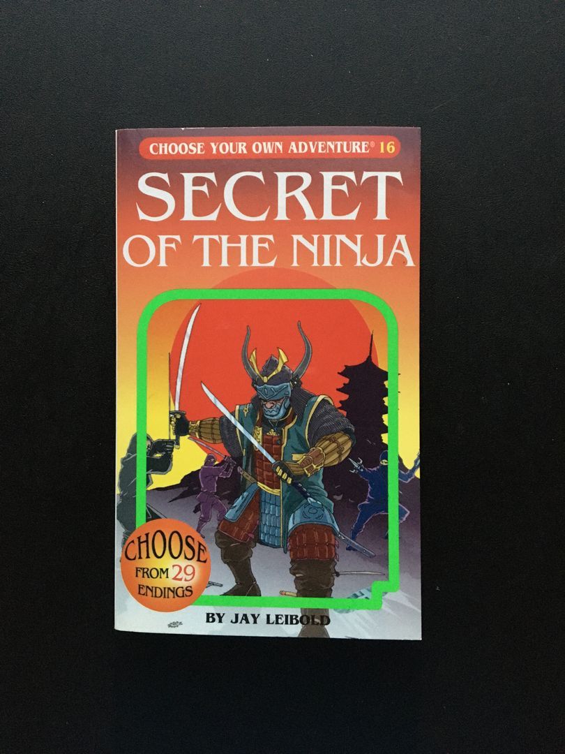 Secret of the Ninja