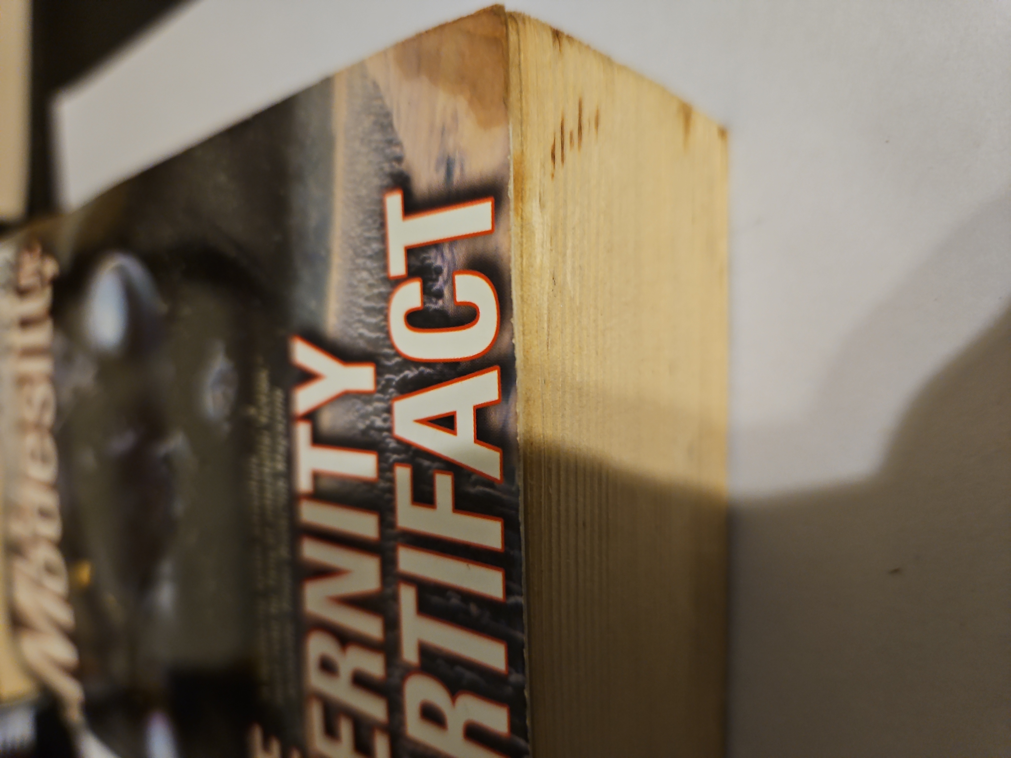 The Eternity Artifact