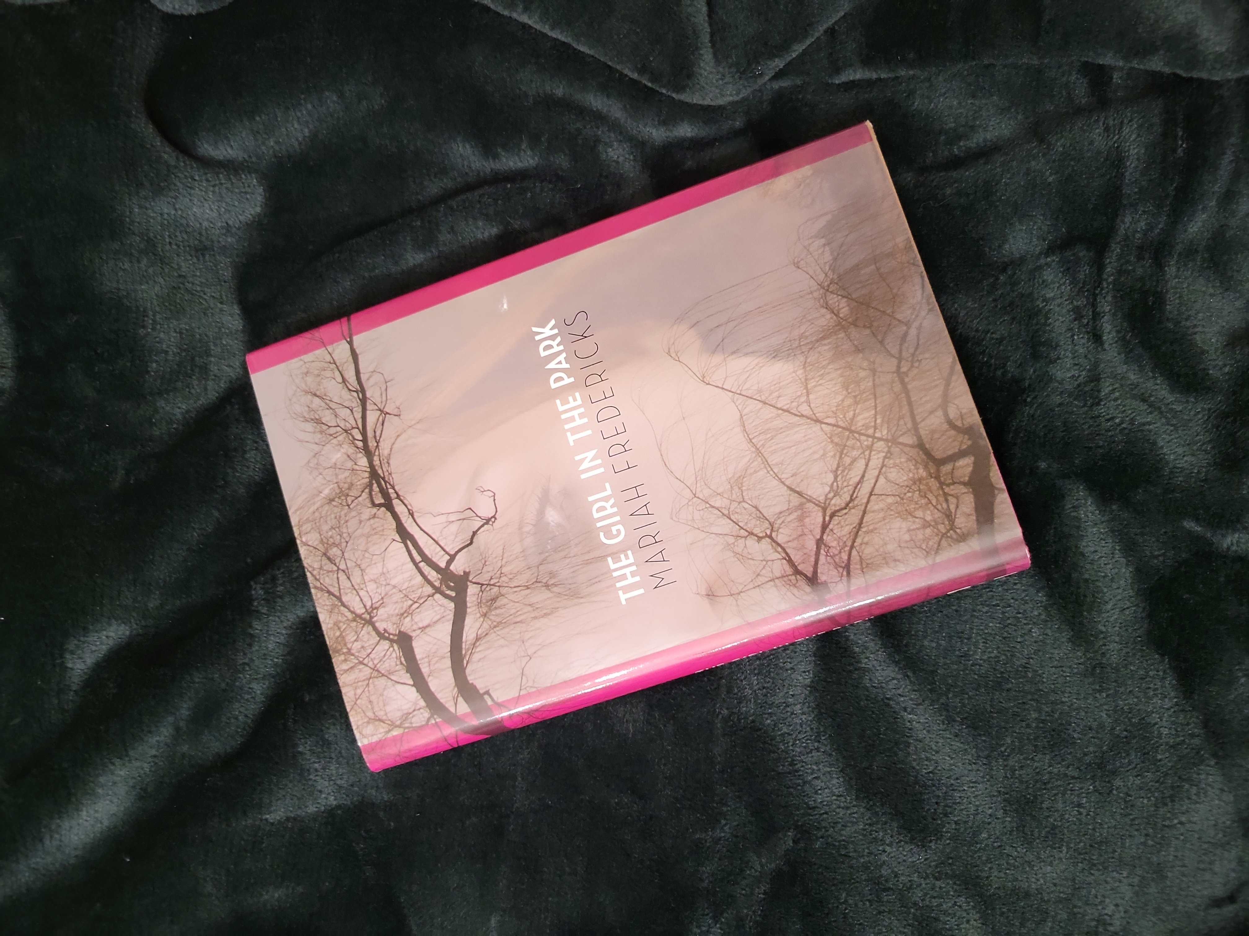 The Girl in the Park