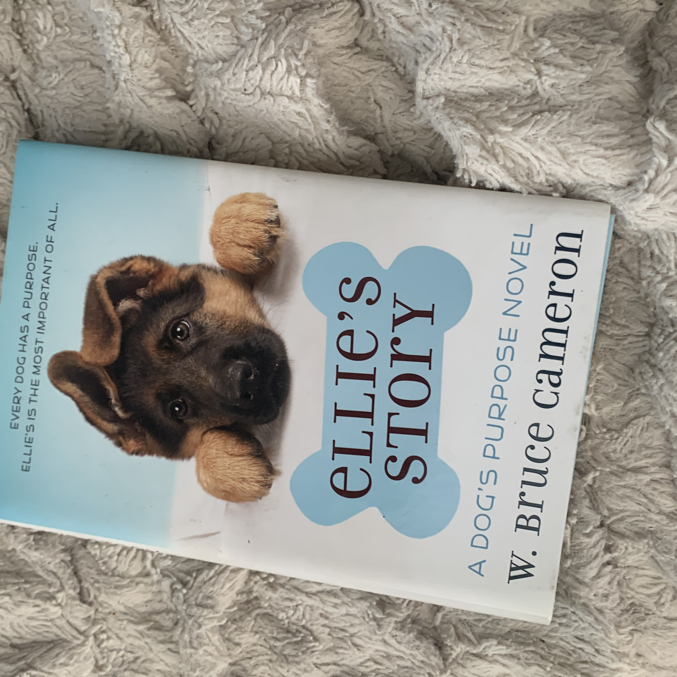 Ellie's Story
