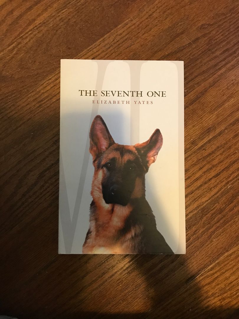 The Seventh One