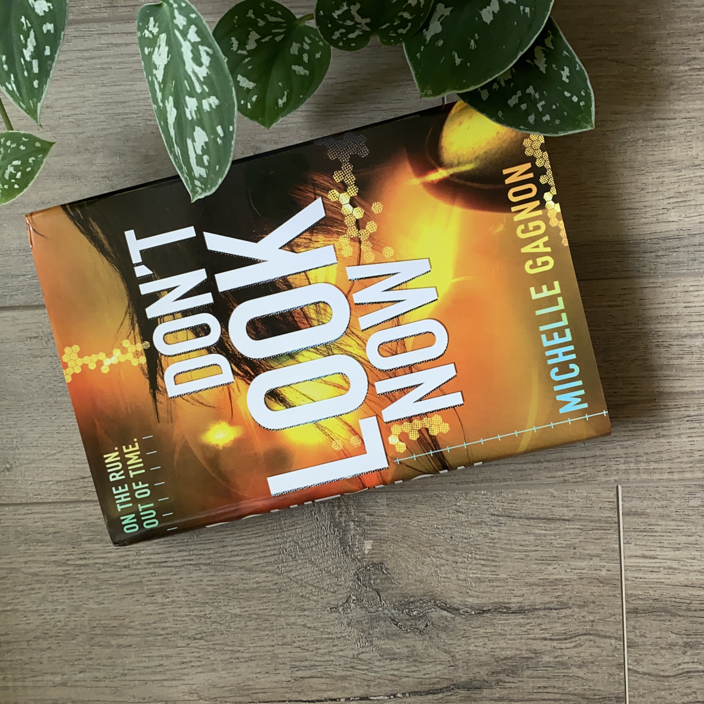 Sale image for dec6bd96-eff6-4df6-9a60-aebd35b9288f-YTLuYKNBl3YRBfG20guvY6Ugaea2