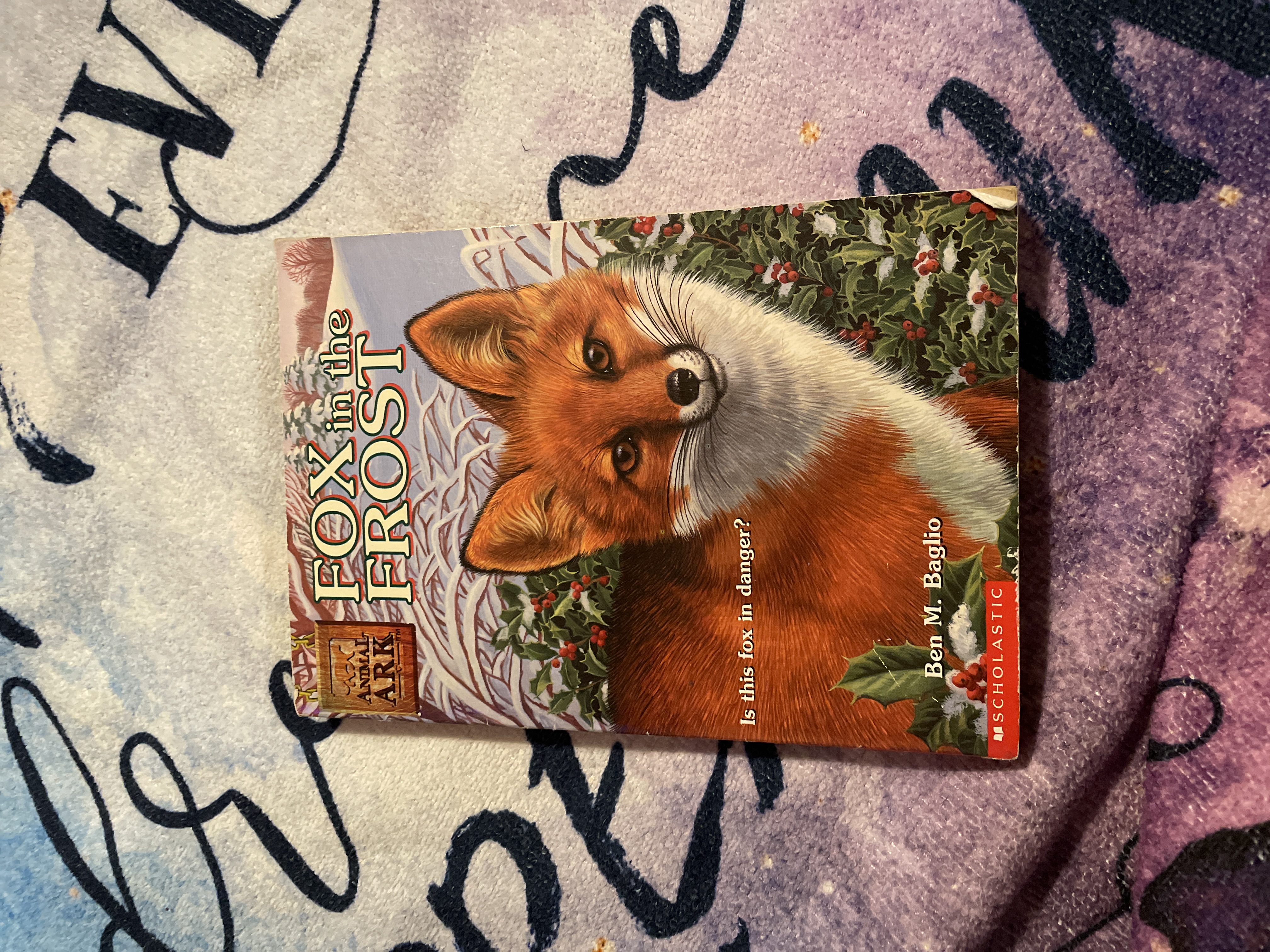 Fox in the Frost