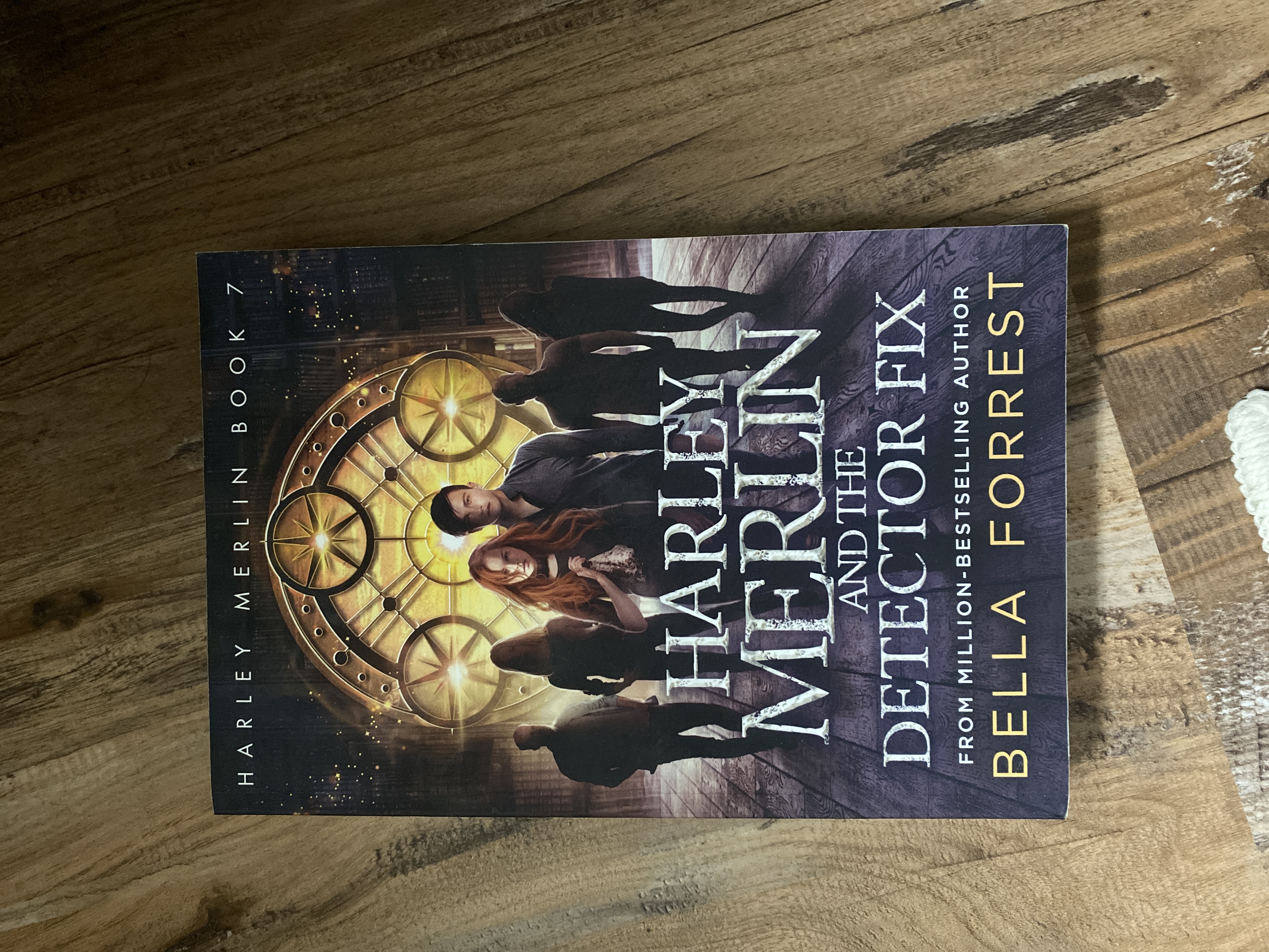 Harley Merlin 7: Harley Merlin and the Detector Fix