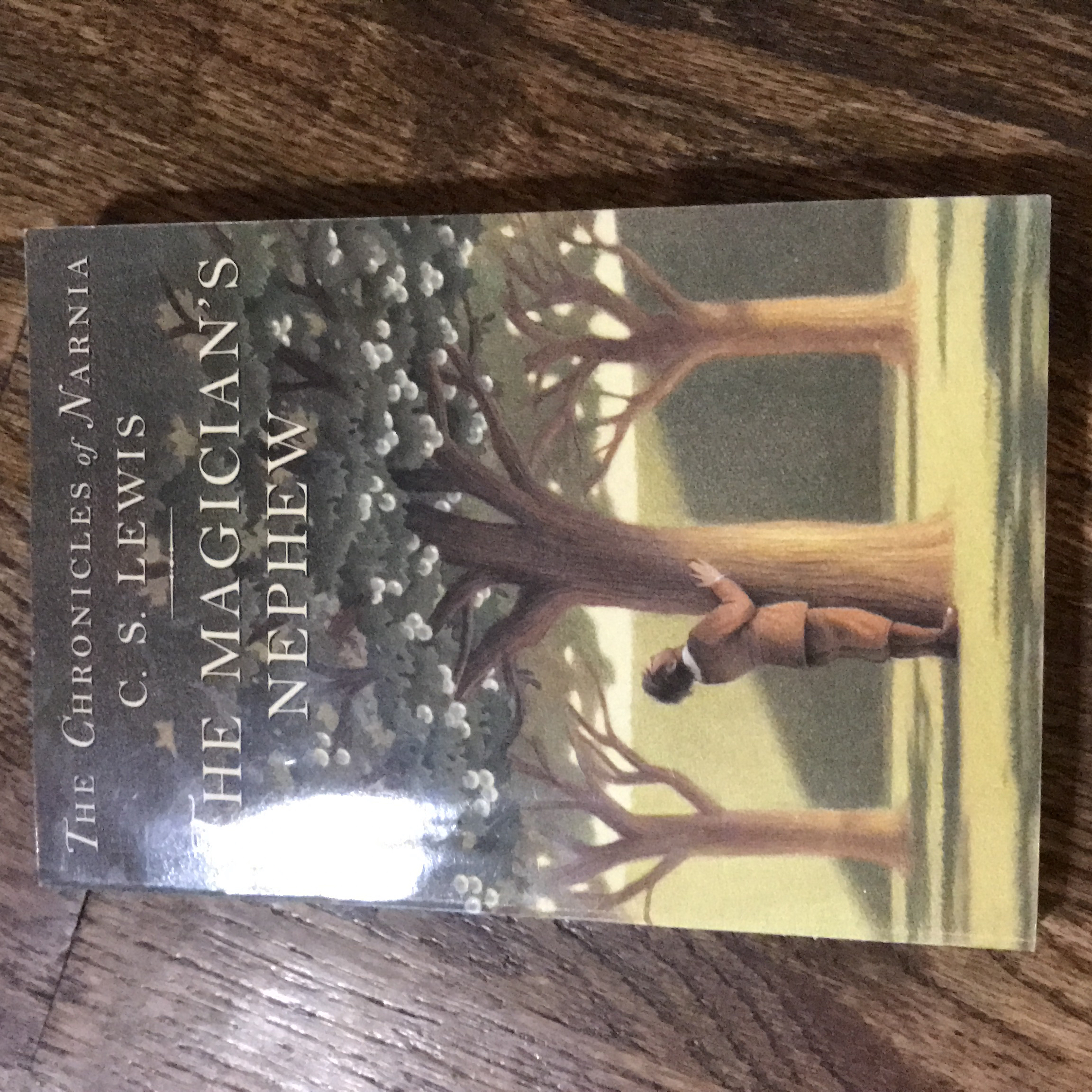 The Chronicles of Narnia: Book one; The Magician's Nephew
