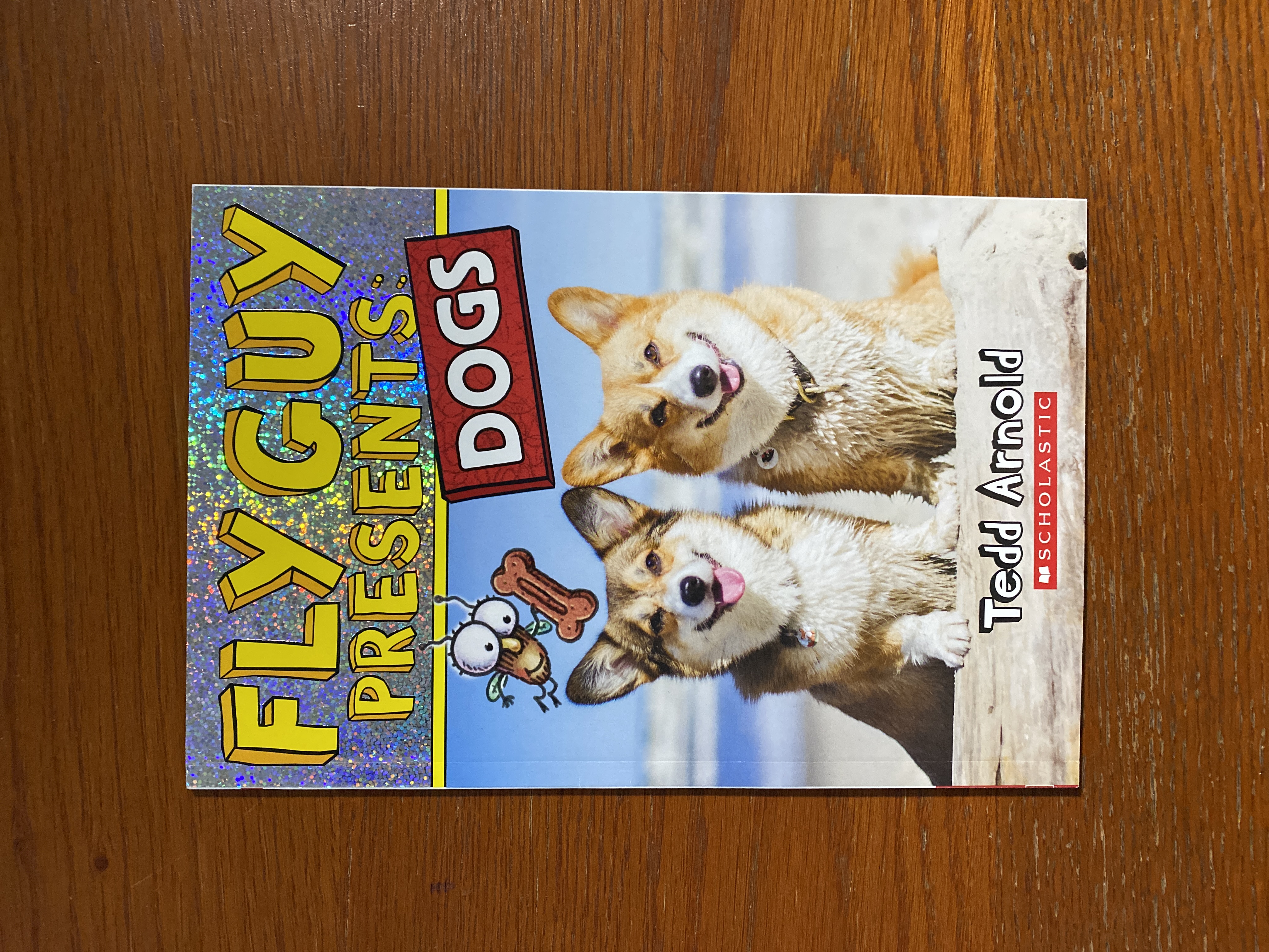 Fly Guy Presents: Dogs