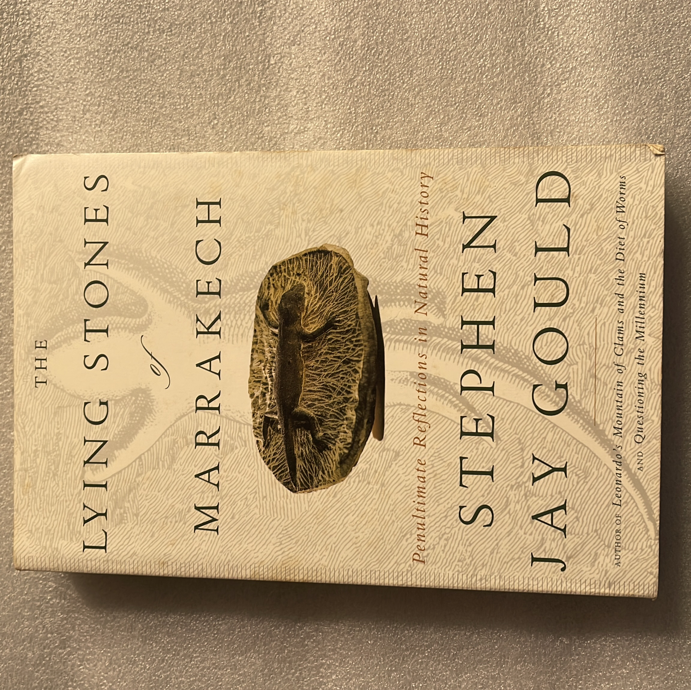 The Lying Stones of Marrakech