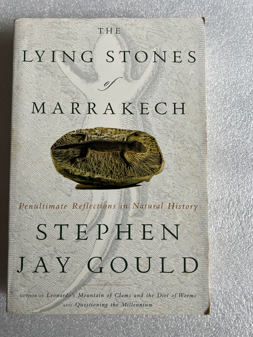 The Lying Stones of Marrakech