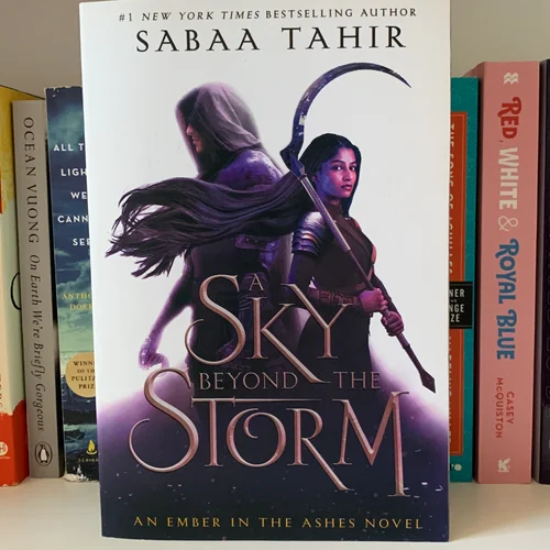 A Sky Beyond the Storm