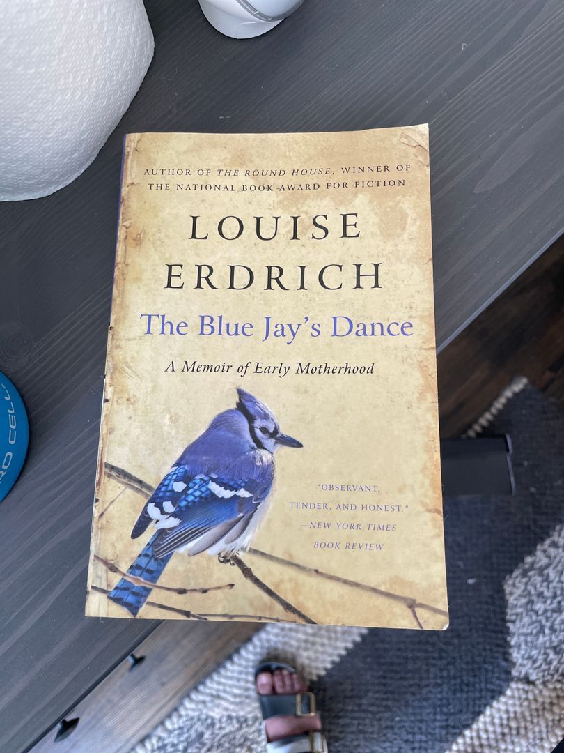 The Blue Jay’s Dance