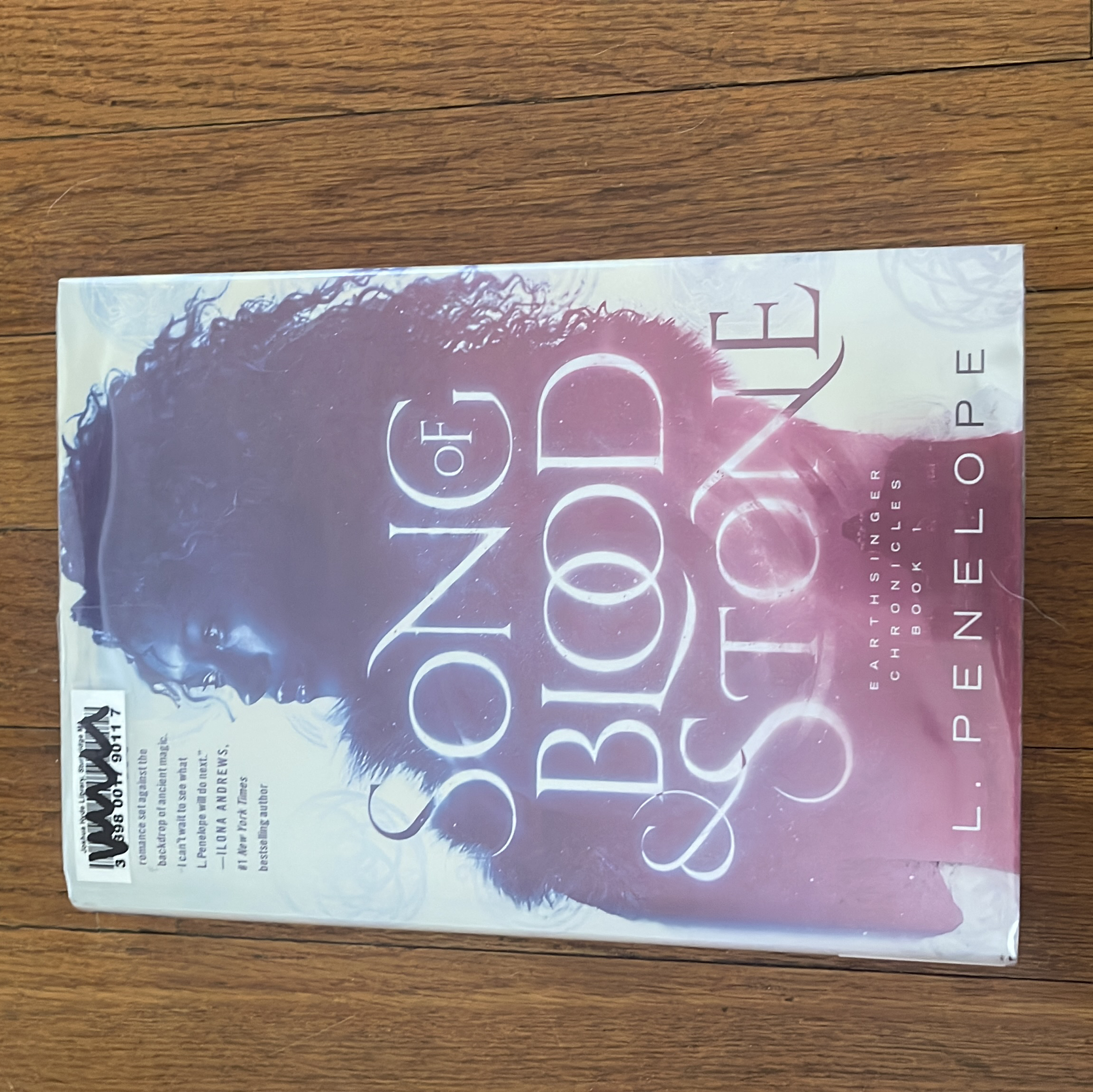 Song of Blood and Stone