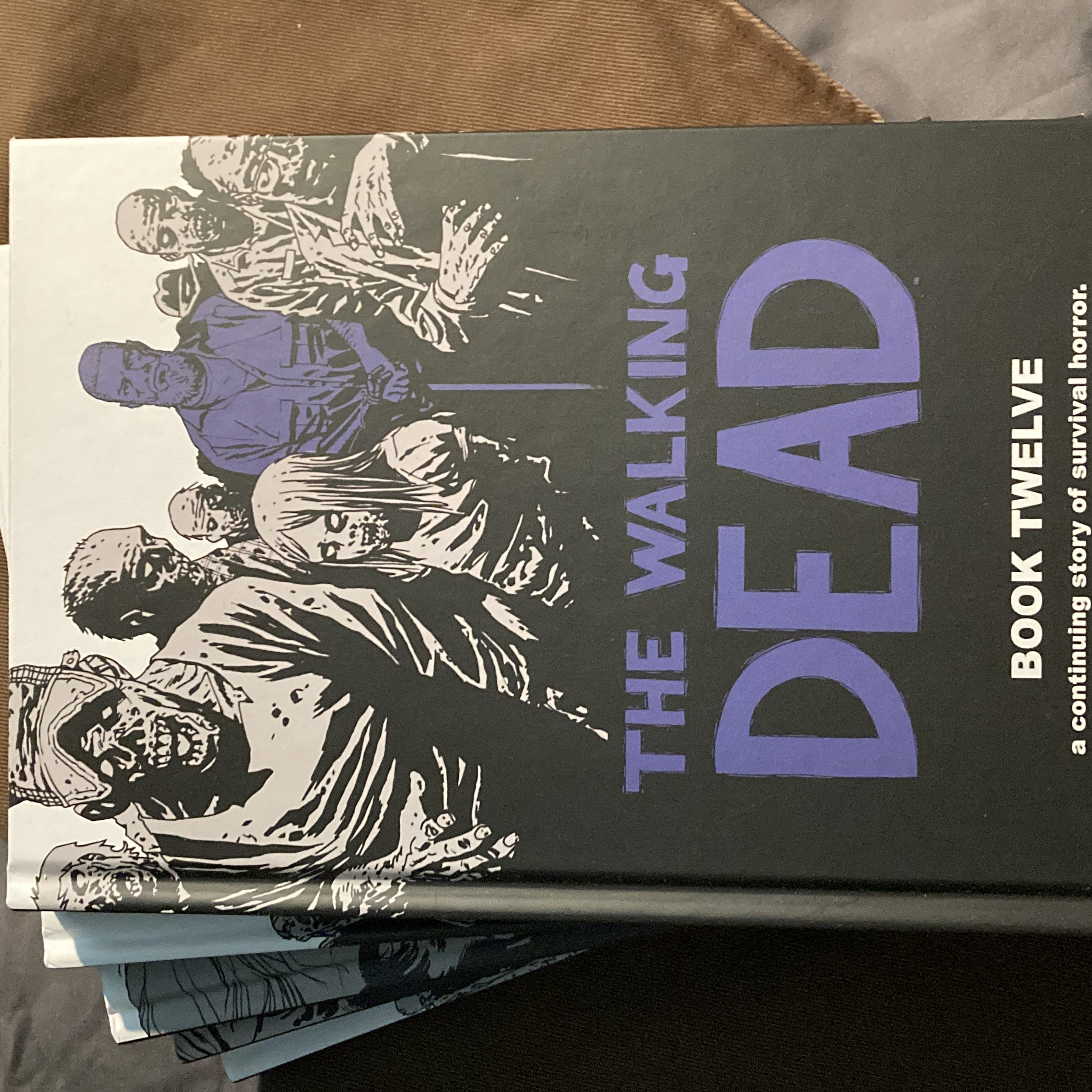 The Walking Dead Book 12