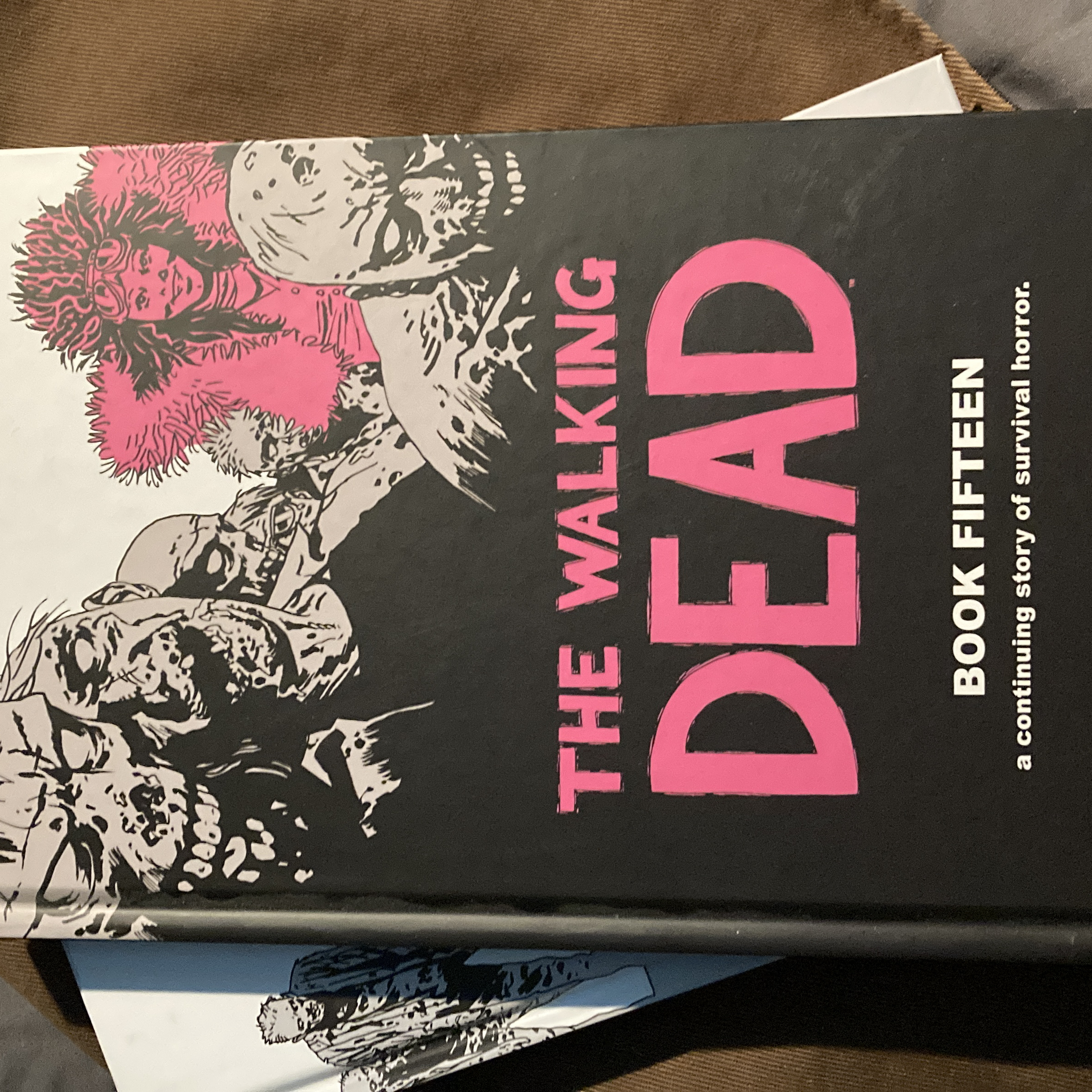 The Walking Dead Book 15