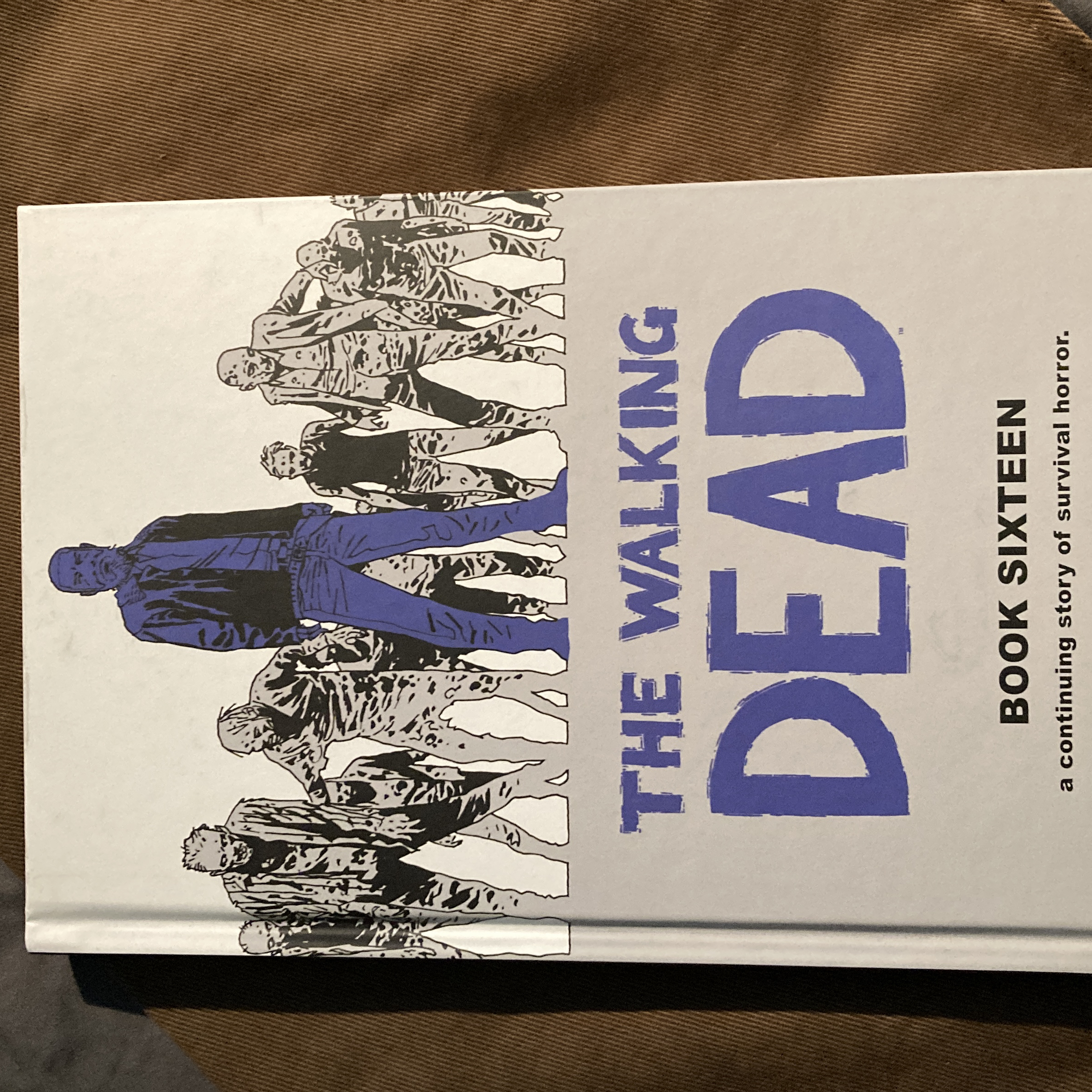 The Walking Dead Book 16